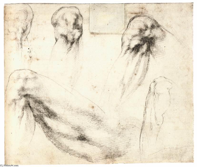 WikiOO.org – 美術百科全書 - 繪畫，作品 Michelangelo Buonarroti - 研究 左  腿  和  膝盖  直肠