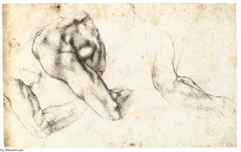 Wikioo.org - The Encyclopedia of Fine Arts - Painting, Artwork by Michelangelo Buonarroti - Three Studies of a Left Arm and Shoulder