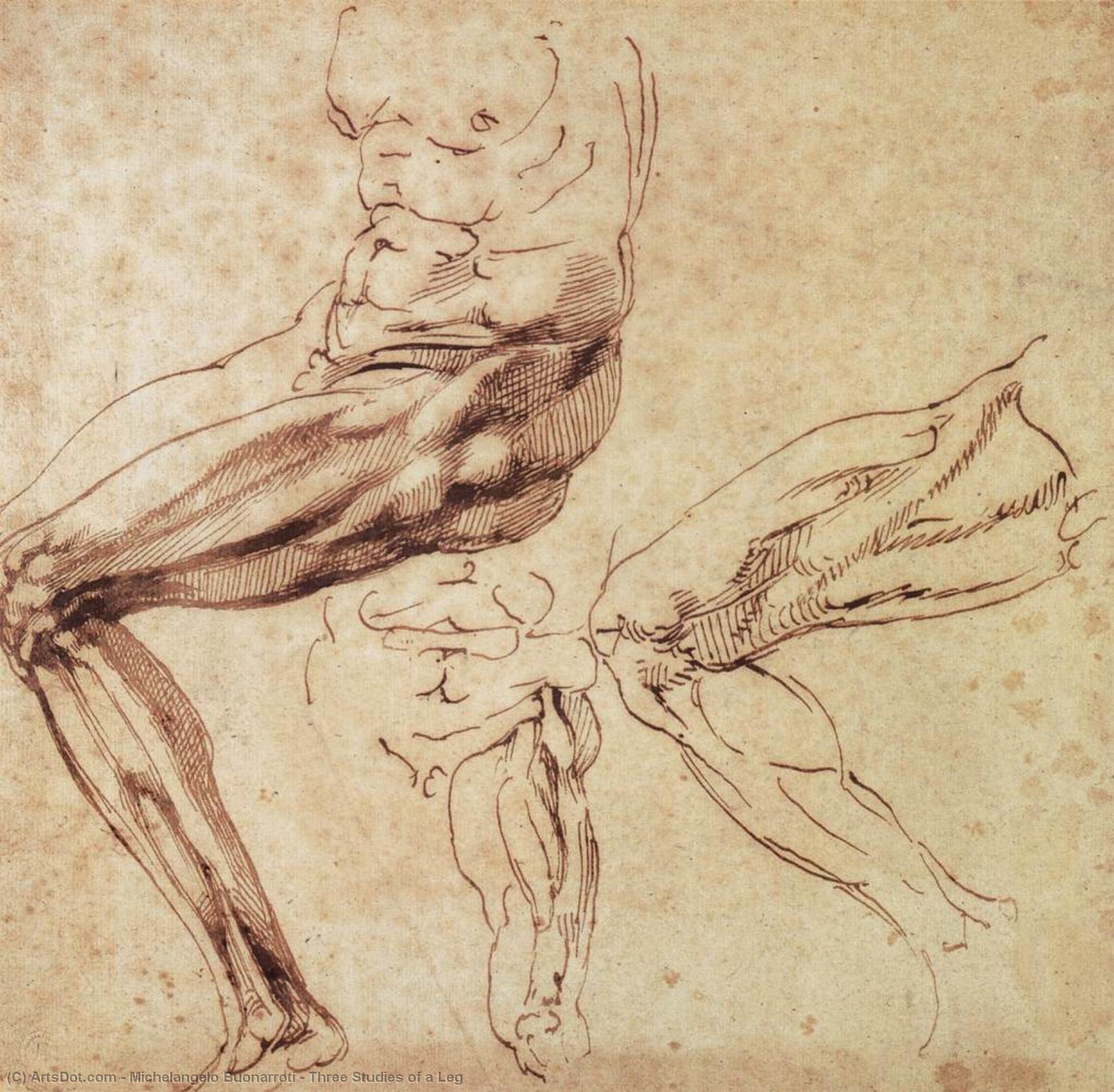 Wikioo.org - The Encyclopedia of Fine Arts - Painting, Artwork by Michelangelo Buonarroti - Three Studies of a Leg