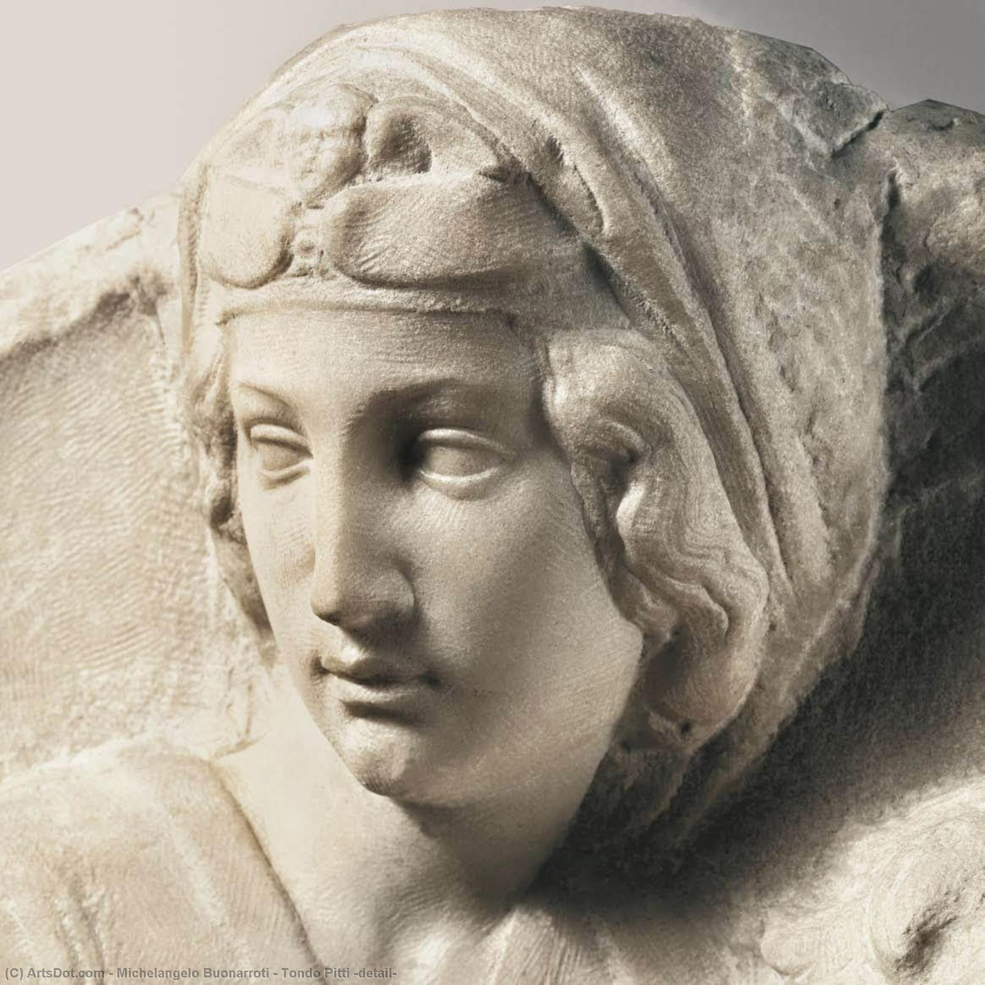 Wikioo.org - Bách khoa toàn thư về mỹ thuật - Vẽ tranh, Tác phẩm nghệ thuật Michelangelo Buonarroti - Tondo Pitti (detail)