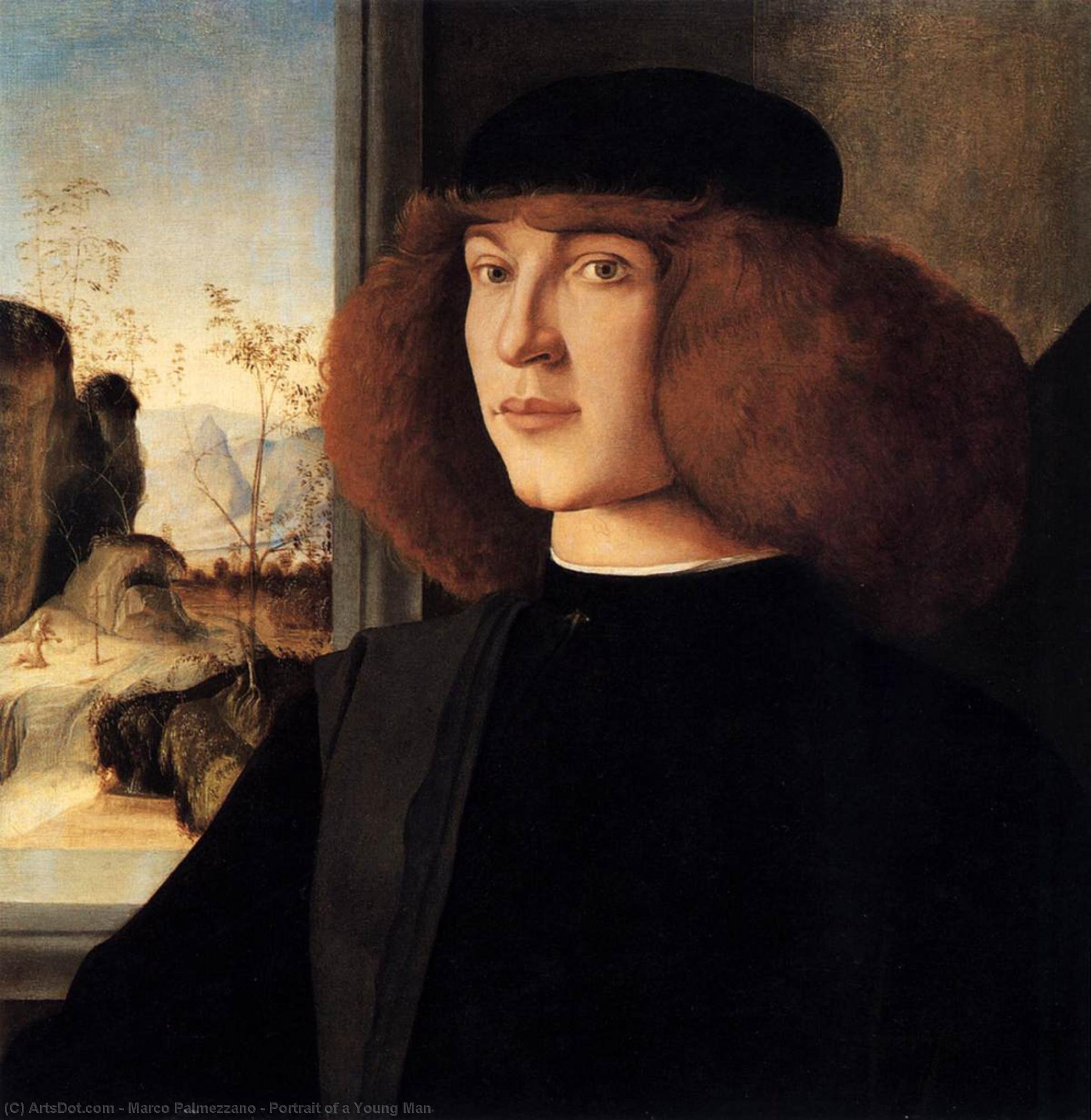 Wikioo.org - The Encyclopedia of Fine Arts - Painting, Artwork by Marco Palmezzano - Portrait of a Young Man