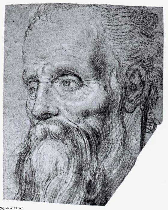 WikiOO.org - Енциклопедия за изящни изкуства - Живопис, Произведения на изкуството Simone Peterzano - Head of an Old Bearded Man
