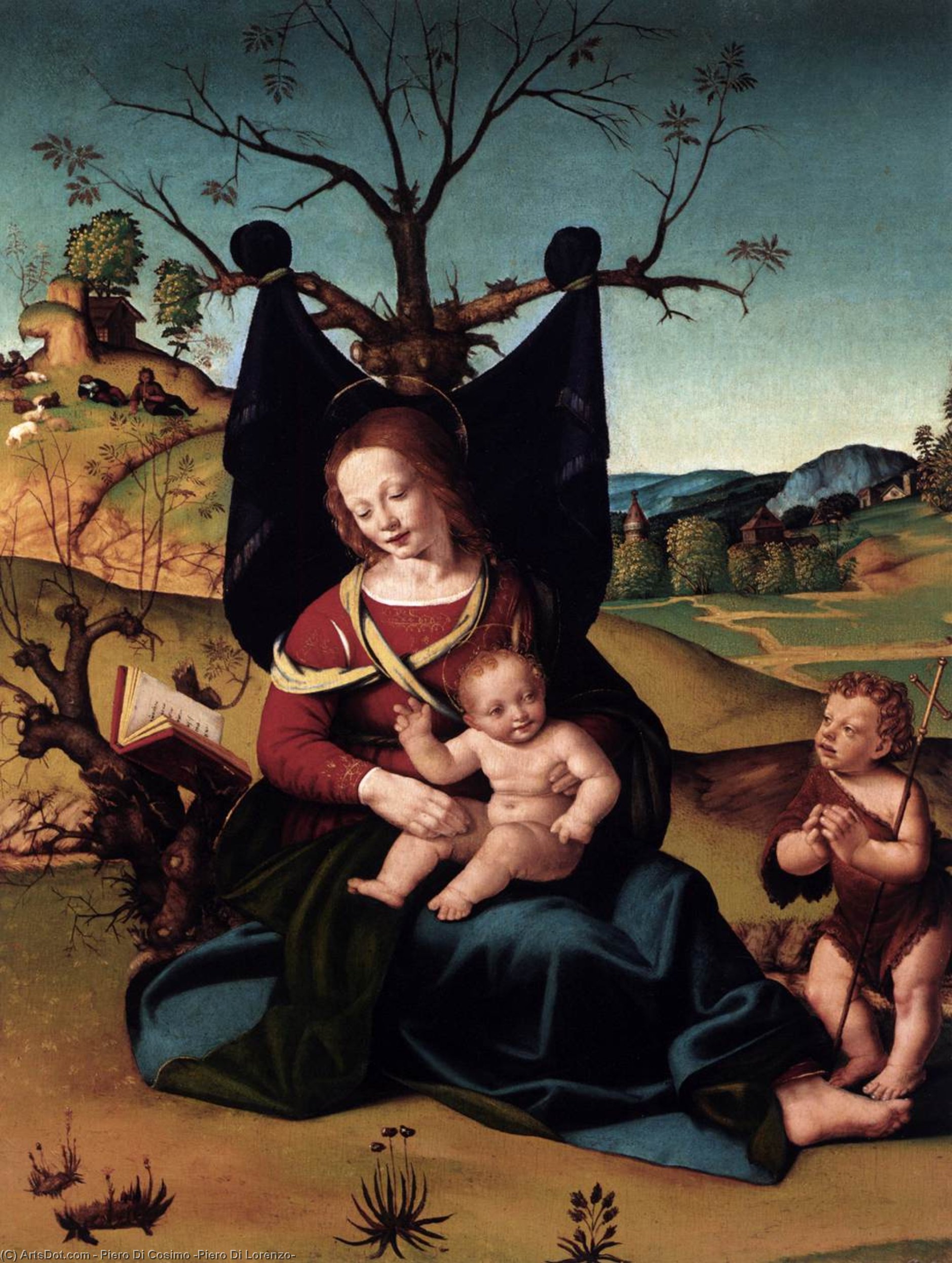 Wikioo.org - The Encyclopedia of Fine Arts - Painting, Artwork by Piero Di Cosimo (Piero Di Lorenzo) - Madonna with Child and the Young St John
