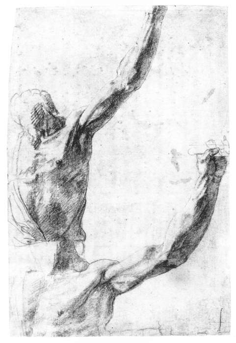WikiOO.org - Encyclopedia of Fine Arts - Lukisan, Artwork Polidoro Da Caravaggio - Studies of a Male Torso