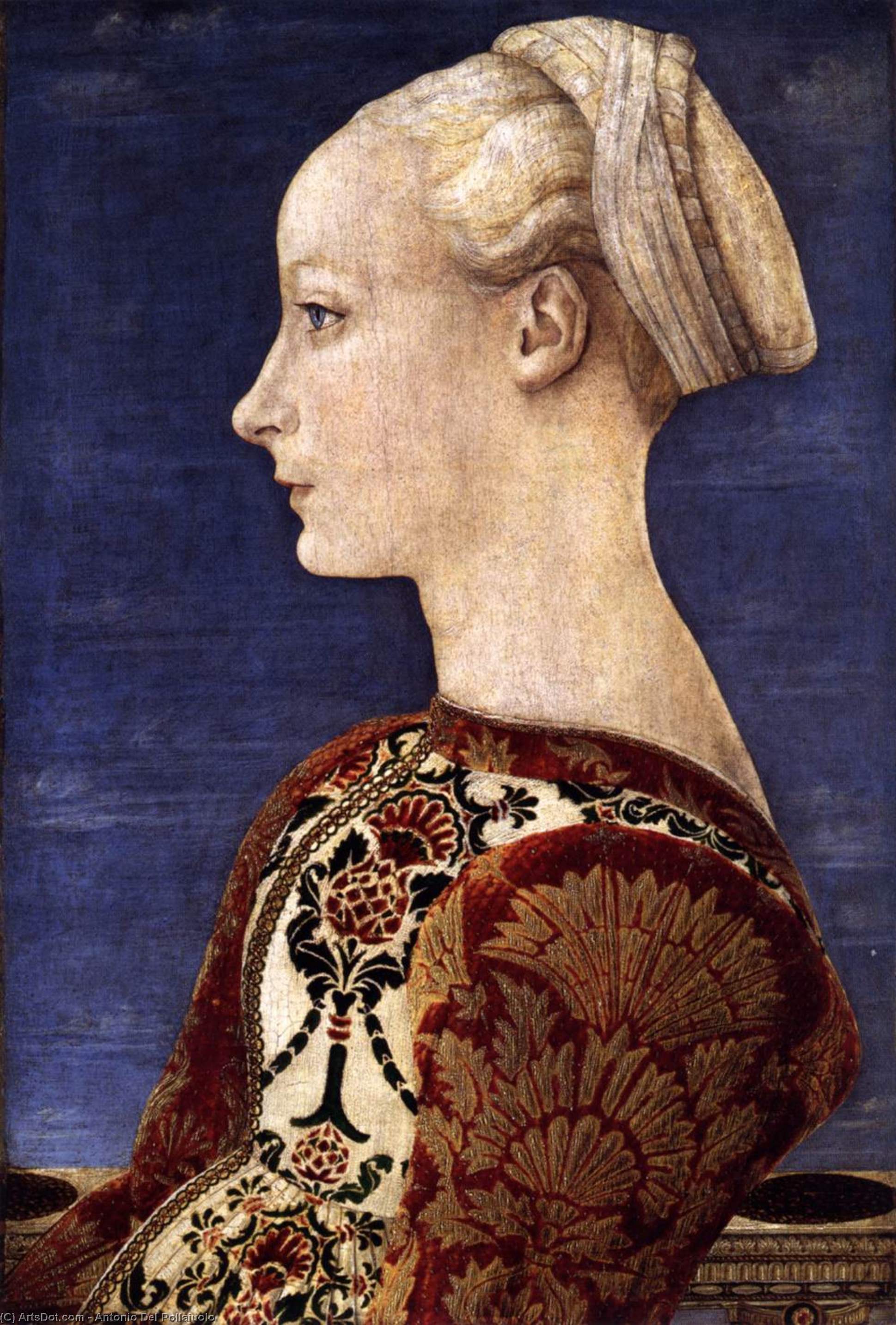 Wikioo.org - Bách khoa toàn thư về mỹ thuật - Vẽ tranh, Tác phẩm nghệ thuật Antonio Del Pollaiuolo - Portrait of a Young Woman