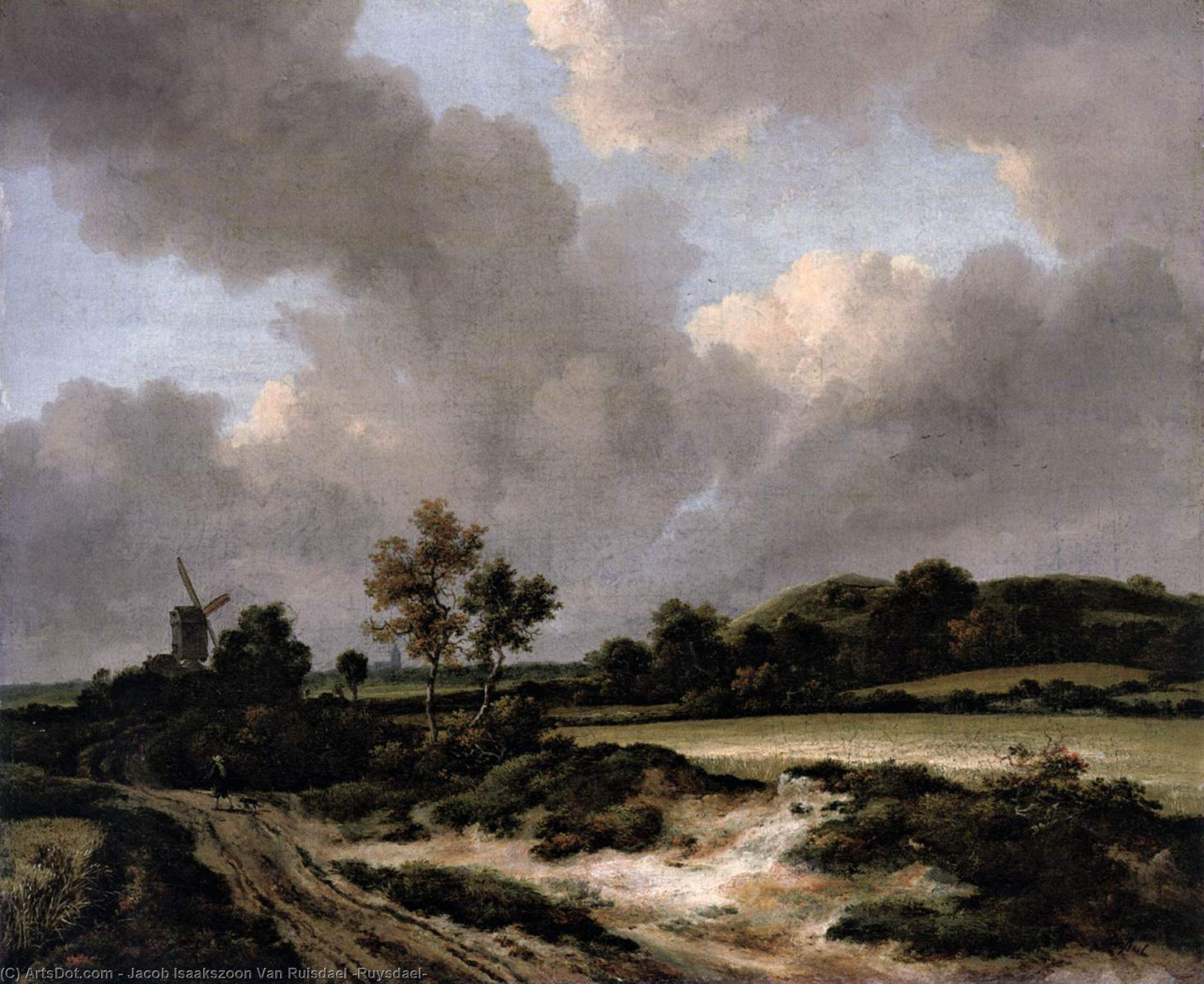 Wikioo.org - The Encyclopedia of Fine Arts - Painting, Artwork by Jacob Isaakszoon Van Ruisdael (Ruysdael) - Grainfields