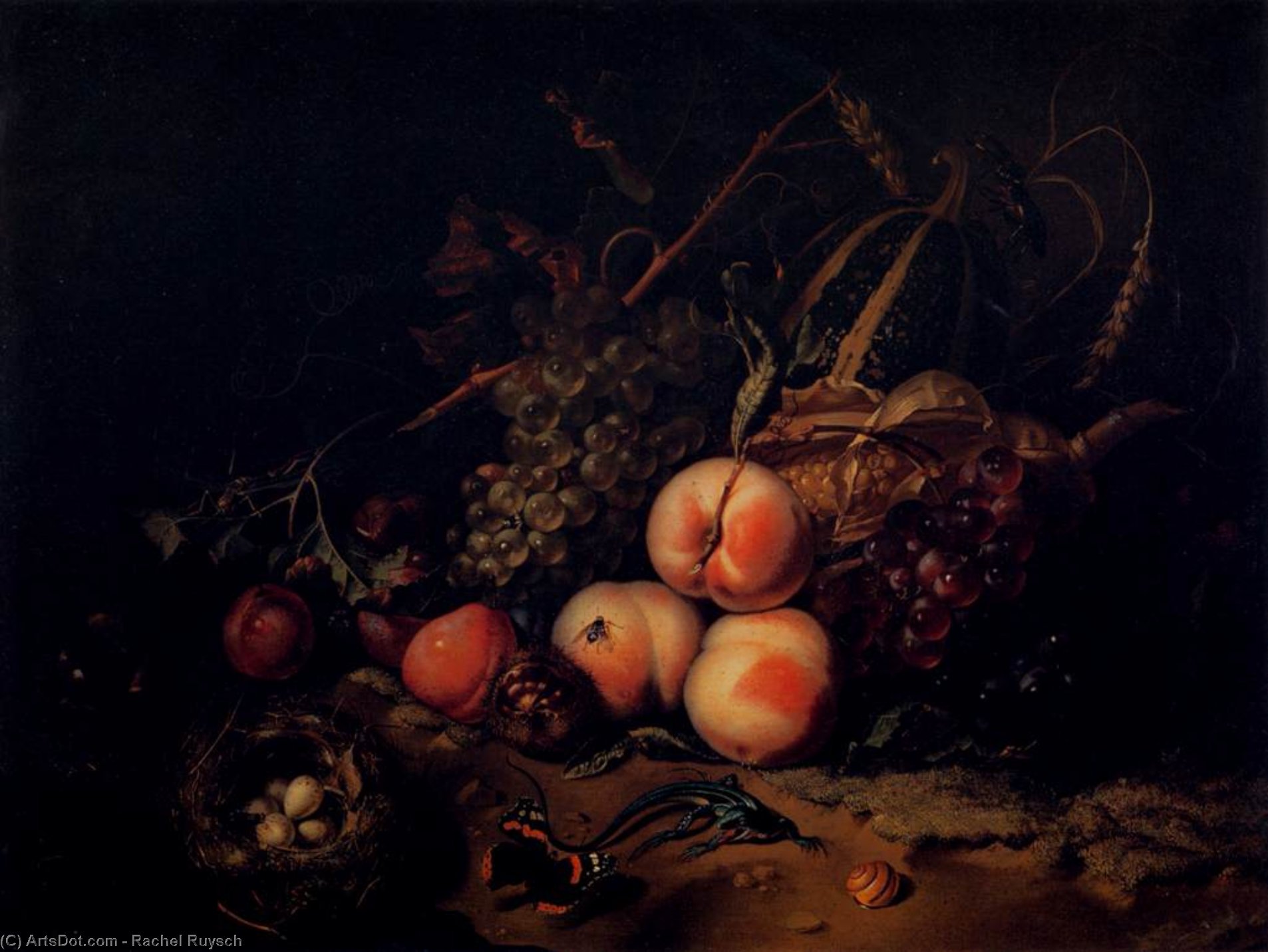 Wikioo.org – La Enciclopedia de las Bellas Artes - Pintura, Obras de arte de Rachel Ruysch - bodegón con fruta asícomo  insectos