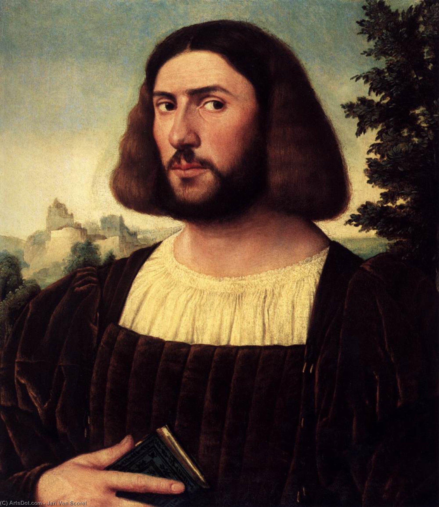 Wikioo.org - The Encyclopedia of Fine Arts - Painting, Artwork by Jan Van Scorel - Portrait of a Man
