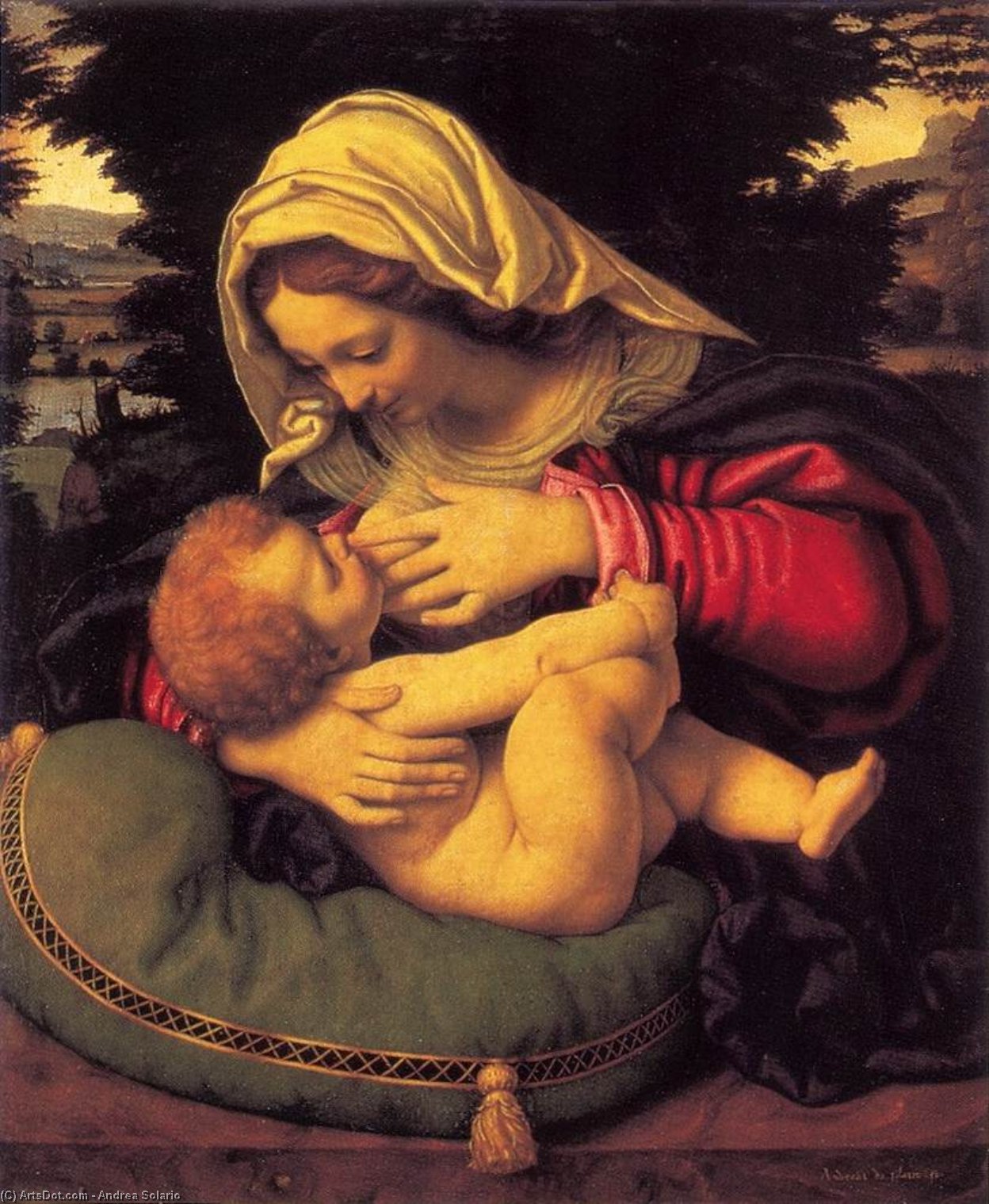 Wikioo.org - The Encyclopedia of Fine Arts - Painting, Artwork by Andrea Solario - Madonna of the Green Cushion