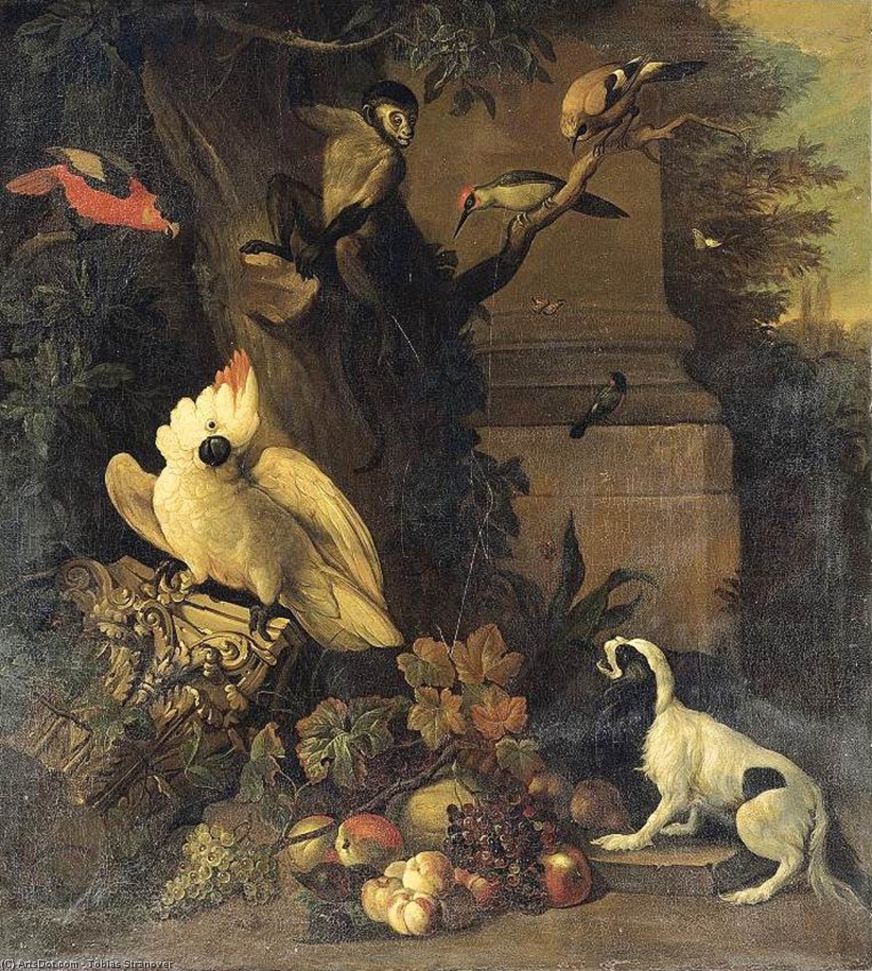 Wikioo.org - The Encyclopedia of Fine Arts - Painting, Artwork by Tobias Stranover - A Monkey, a Dog and Various Birds in a Landscape