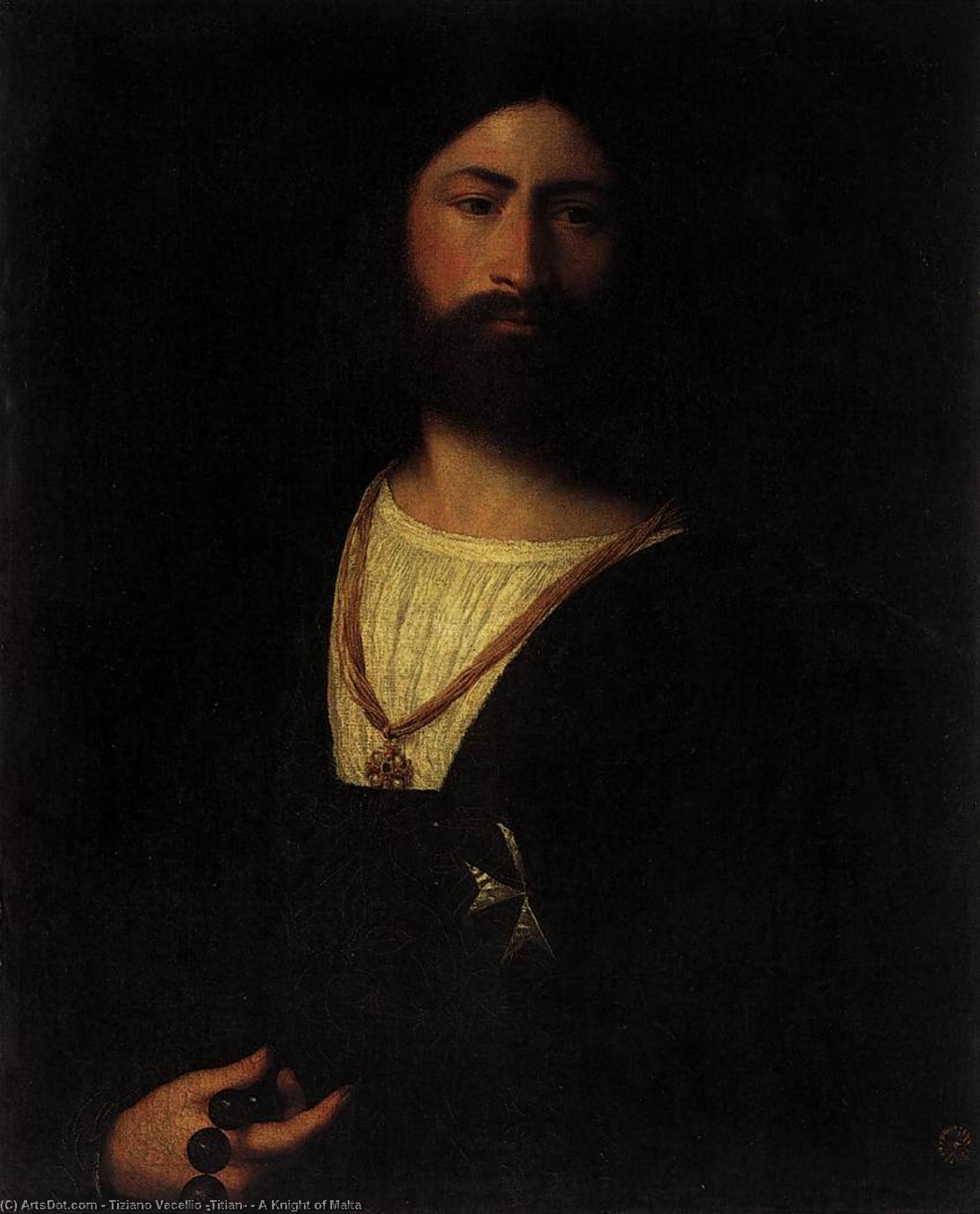 Wikioo.org – La Enciclopedia de las Bellas Artes - Pintura, Obras de arte de Tiziano Vecellio (Titian) - un caballero de malta
