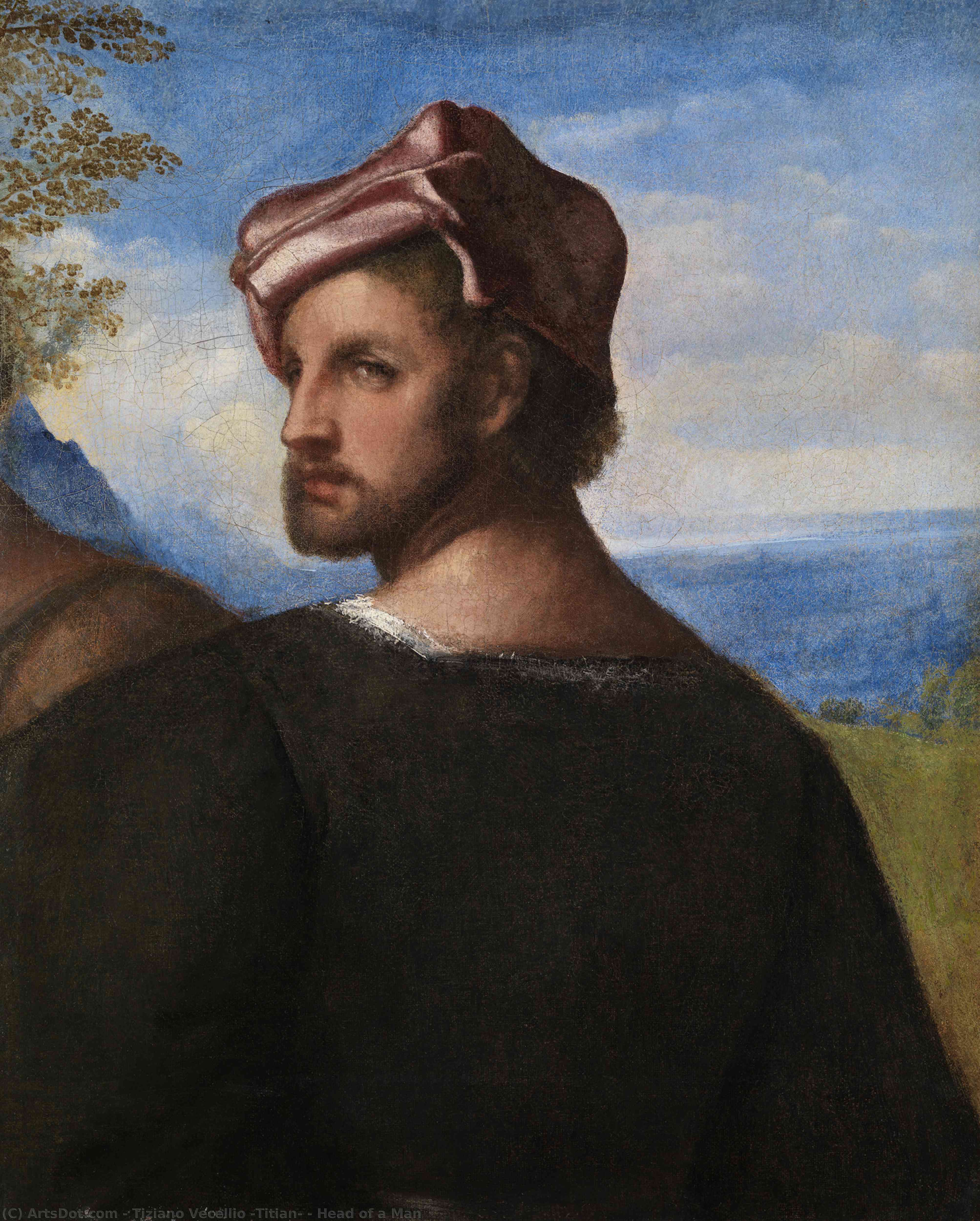 Wikioo.org – La Enciclopedia de las Bellas Artes - Pintura, Obras de arte de Tiziano Vecellio (Titian) - cabeza de un hombre
