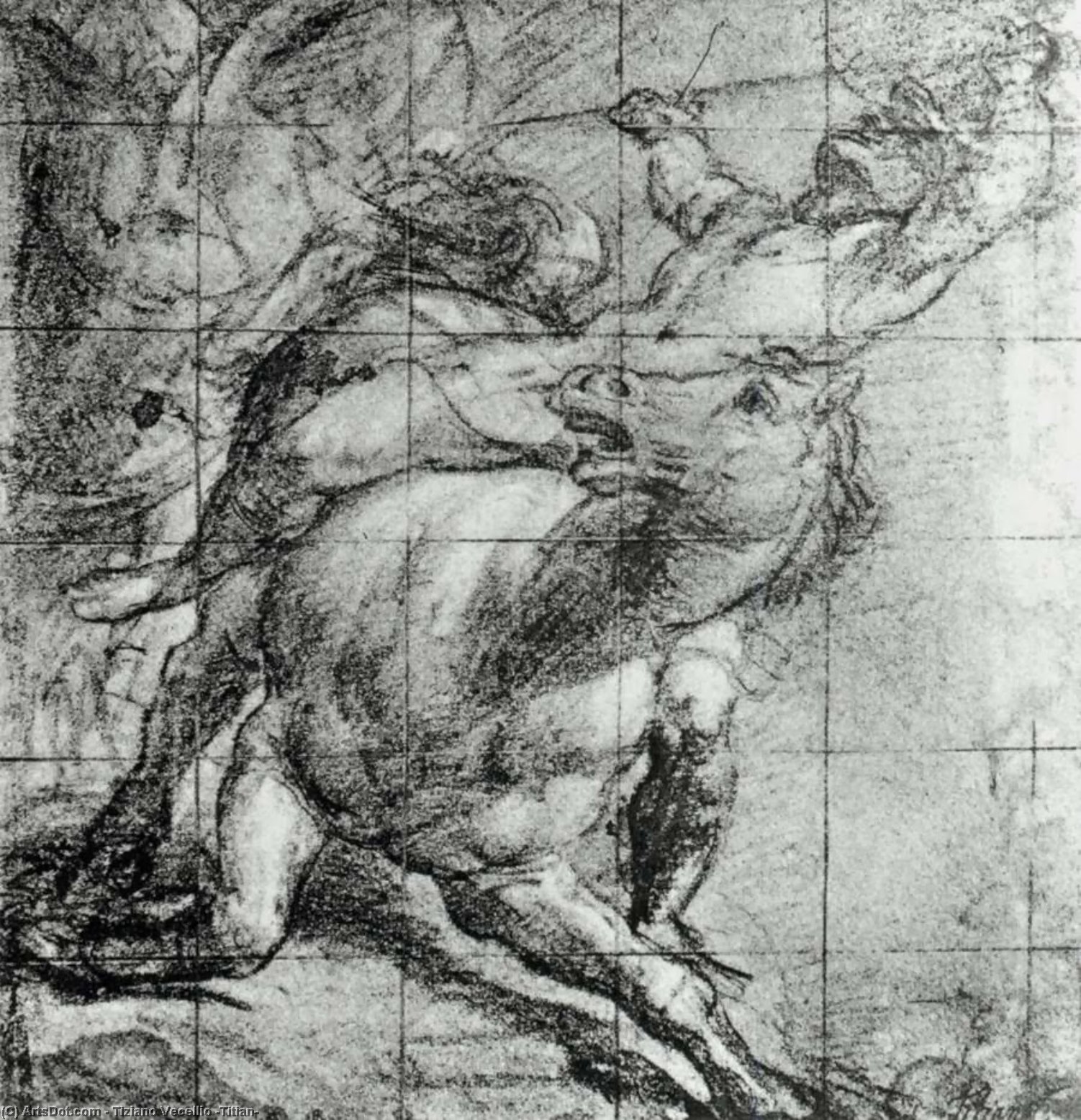 Wikoo.org - موسوعة الفنون الجميلة - اللوحة، العمل الفني Tiziano Vecellio (Titian) - Horse and Rider