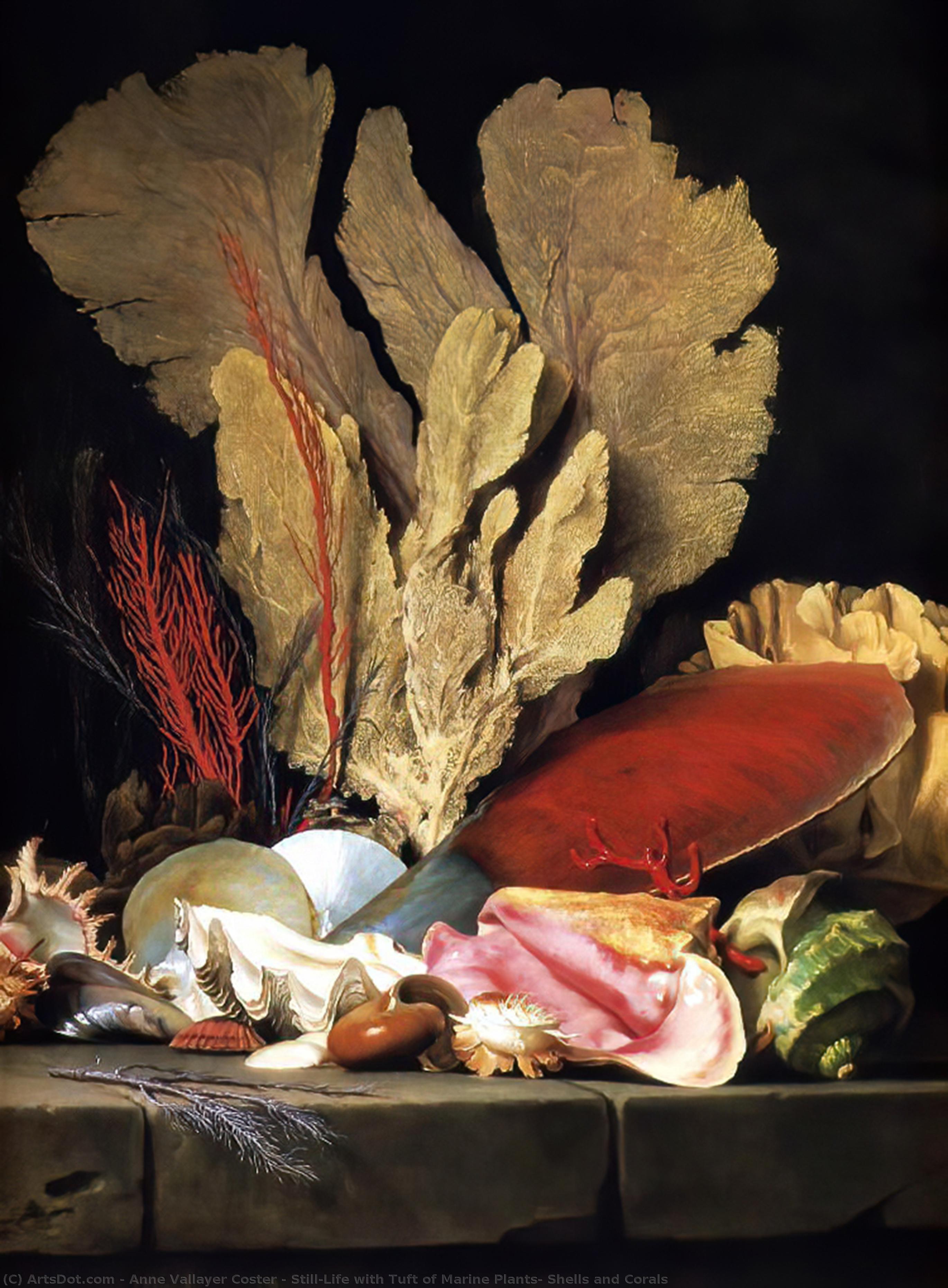 Wikioo.org – L'Enciclopedia delle Belle Arti - Pittura, Opere di Anne Vallayer Coster - natura morta con  Ciuffo  di  marino  piante  conchiglie  e le  Coralli
