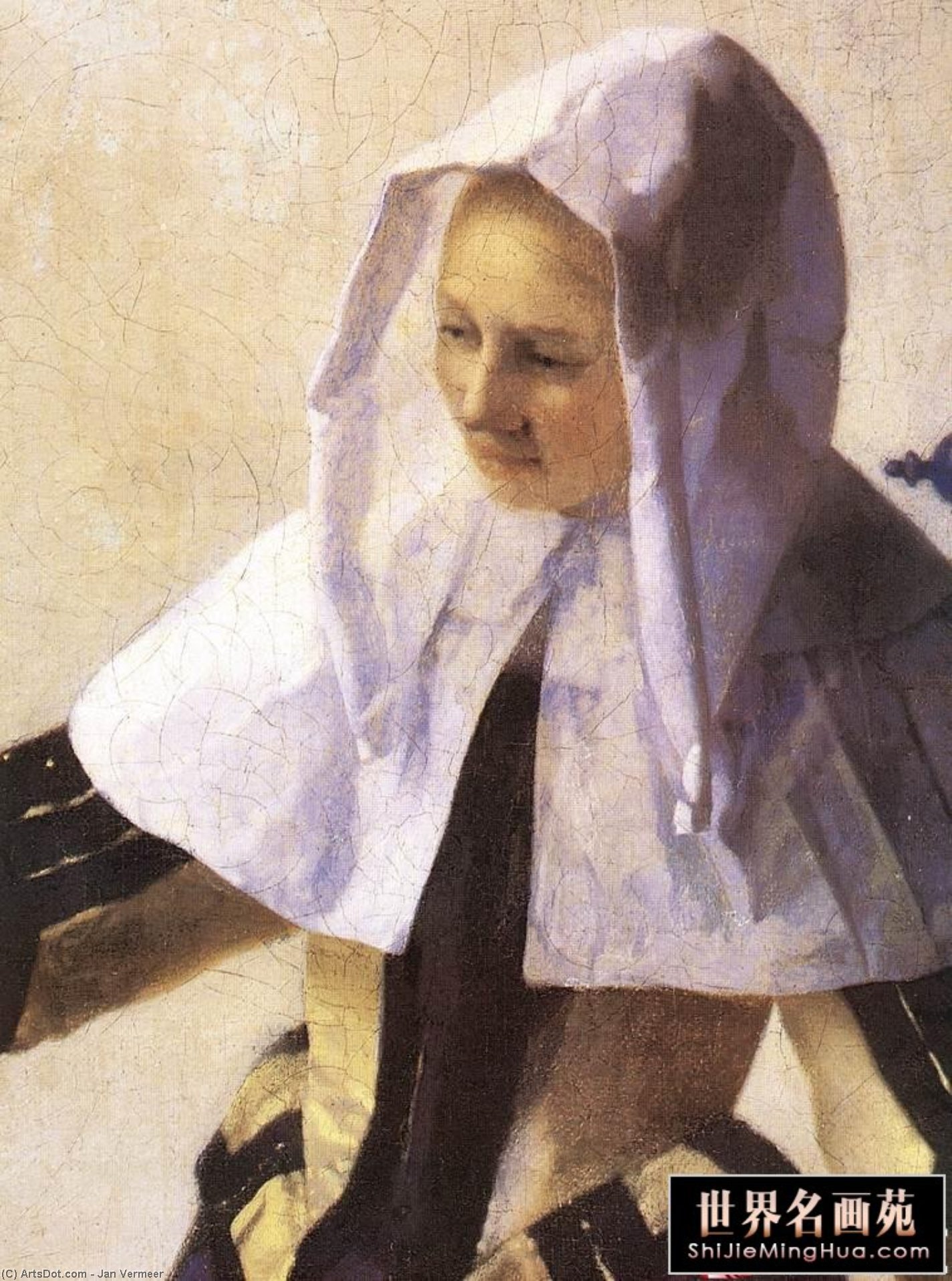 Wikioo.org – La Enciclopedia de las Bellas Artes - Pintura, Obras de arte de Jan Vermeer - mujer joven enestado  Un  agua  jarra  Detalle