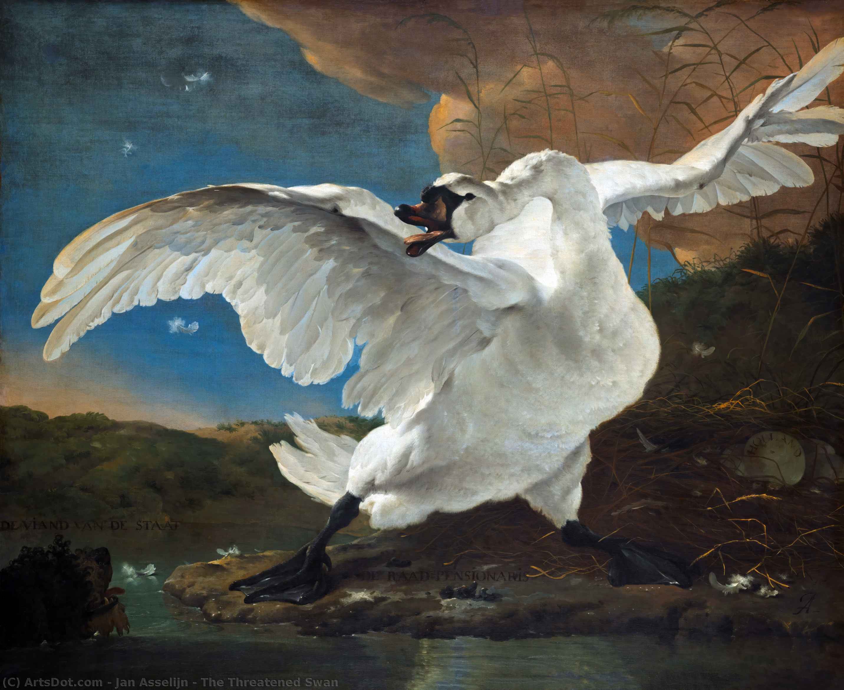Wikioo.org – L'Enciclopedia delle Belle Arti - Pittura, Opere di Jan Asselijn - Antartico minacciata  cigno