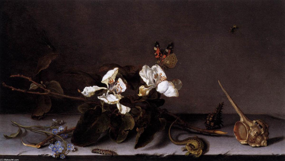 Wikioo.org - The Encyclopedia of Fine Arts - Painting, Artwork by Balthasar Van Der Ast - Still-Life with Apple Blossoms