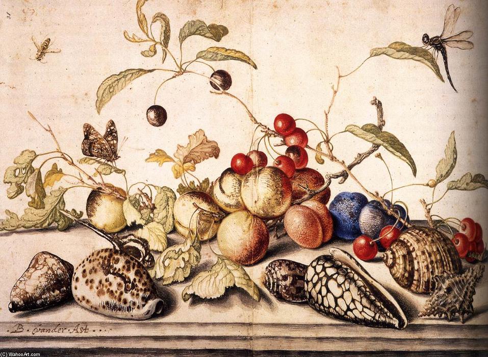 Wikioo.org – L'Enciclopedia delle Belle Arti - Pittura, Opere di Balthasar Van Der Ast - Natura morta con prugne, ciliegie, e Conchiglie