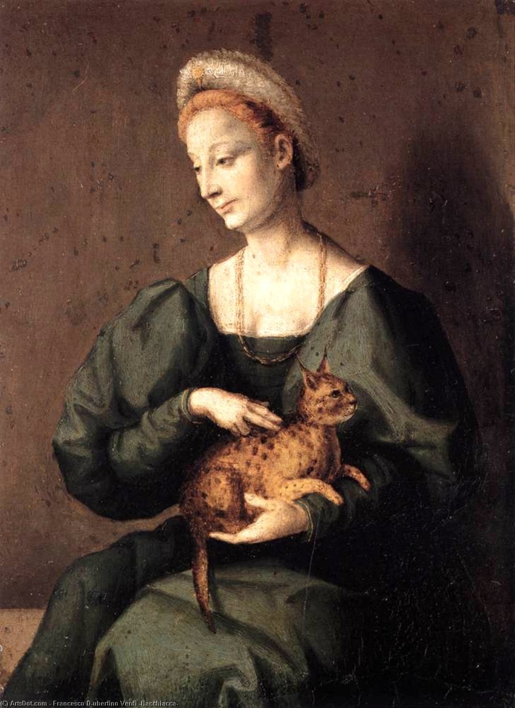 Wikioo.org - The Encyclopedia of Fine Arts - Painting, Artwork by Francesco D'ubertino Verdi (Bacchiacca) - Woman with a Cat