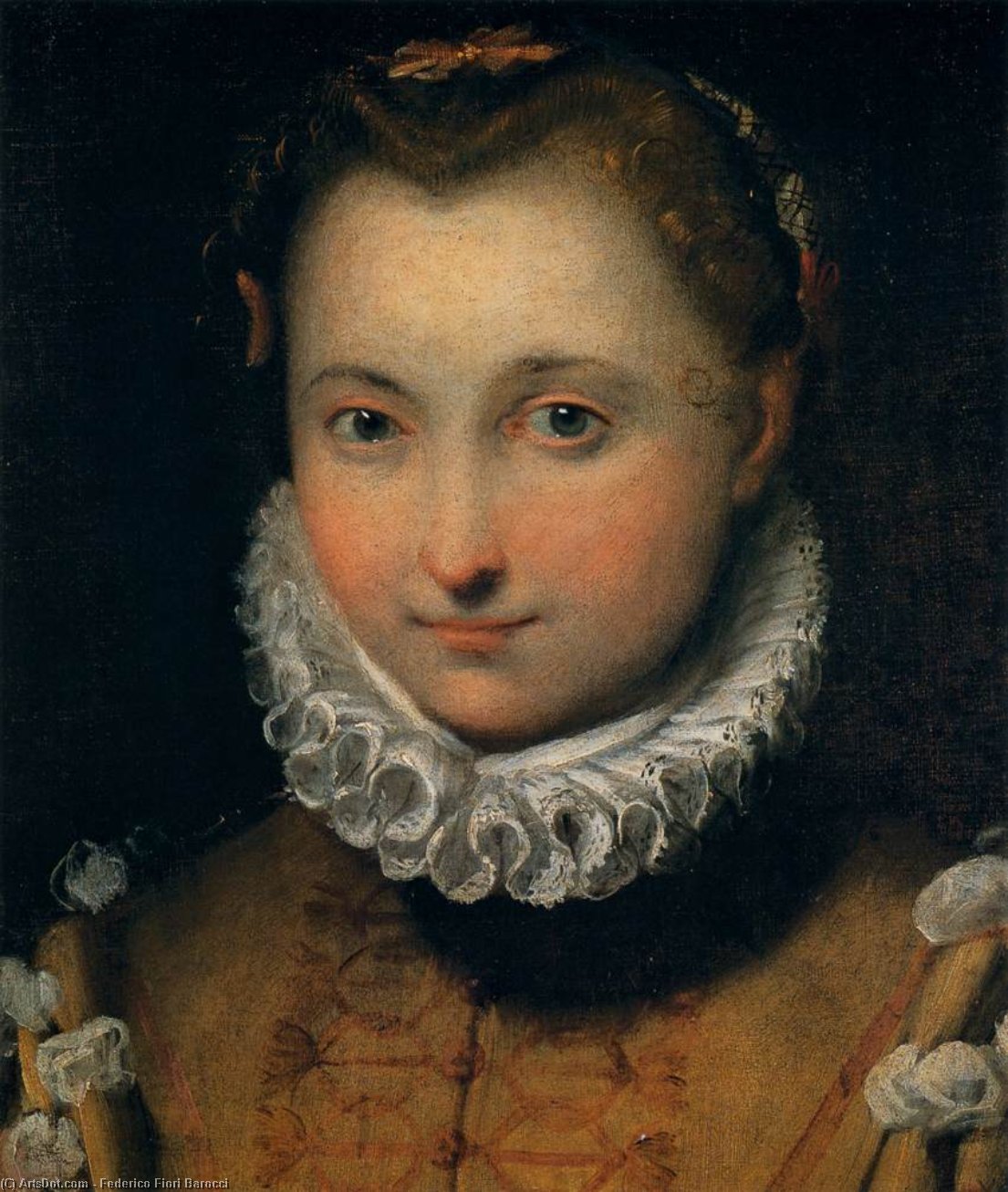 Wikioo.org - The Encyclopedia of Fine Arts - Painting, Artwork by Federico Fiori Barocci - Portrait of a Young Woman