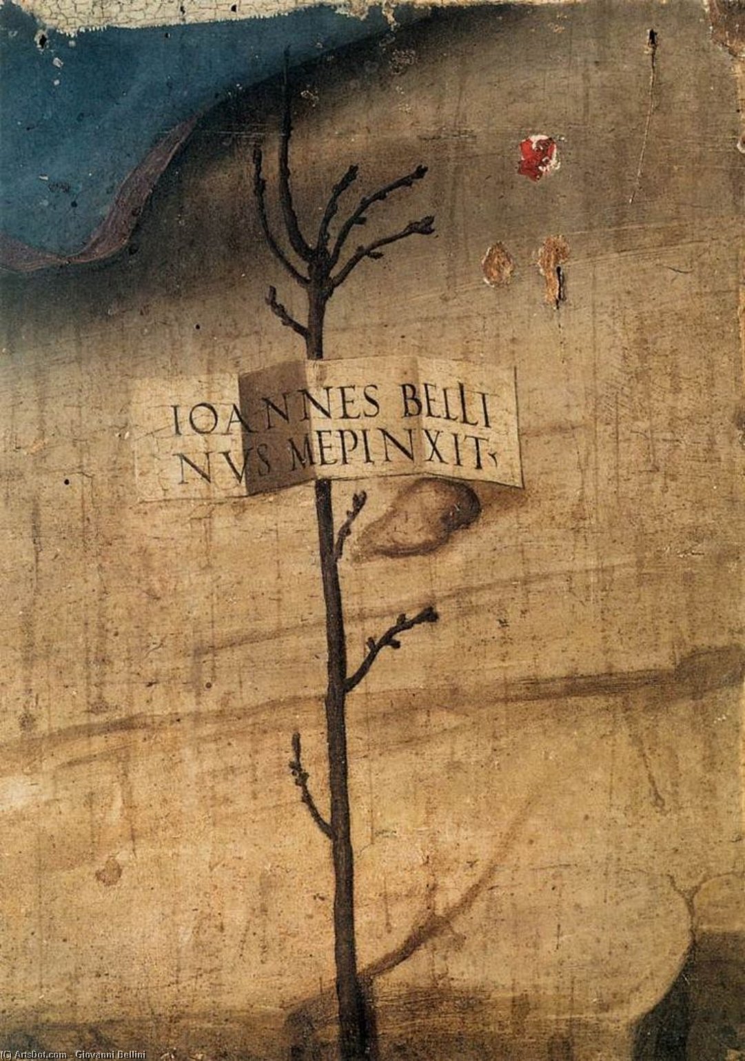 Wikioo.org - The Encyclopedia of Fine Arts - Painting, Artwork by Giovanni Bellini - Small Tree with Inscription (fragment)
