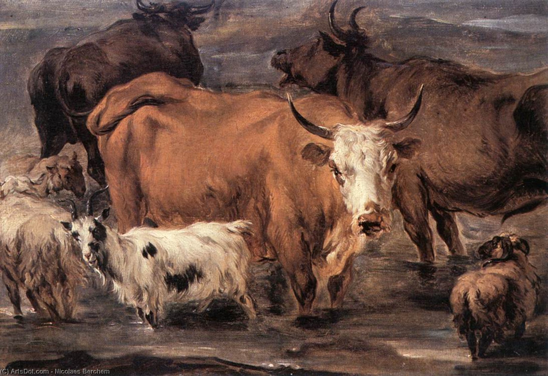Wikioo.org – L'Enciclopedia delle Belle Arti - Pittura, Opere di Nicolaes Berchem - animale studiare