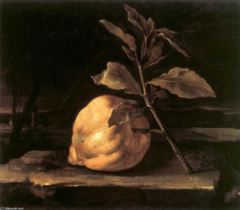 Wikioo.org - The Encyclopedia of Fine Arts - Painting, Artwork by Bartolomeo Bimbi - Large Citron in a Landscape