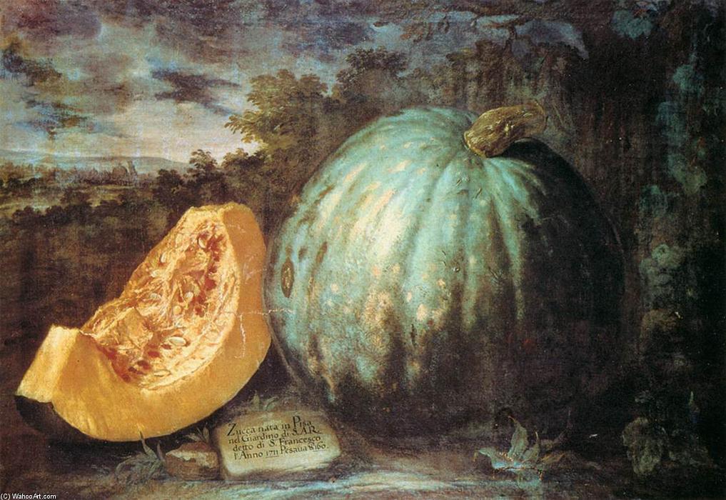 Wikioo.org - The Encyclopedia of Fine Arts - Painting, Artwork by Bartolomeo Bimbi - The Pumpkin