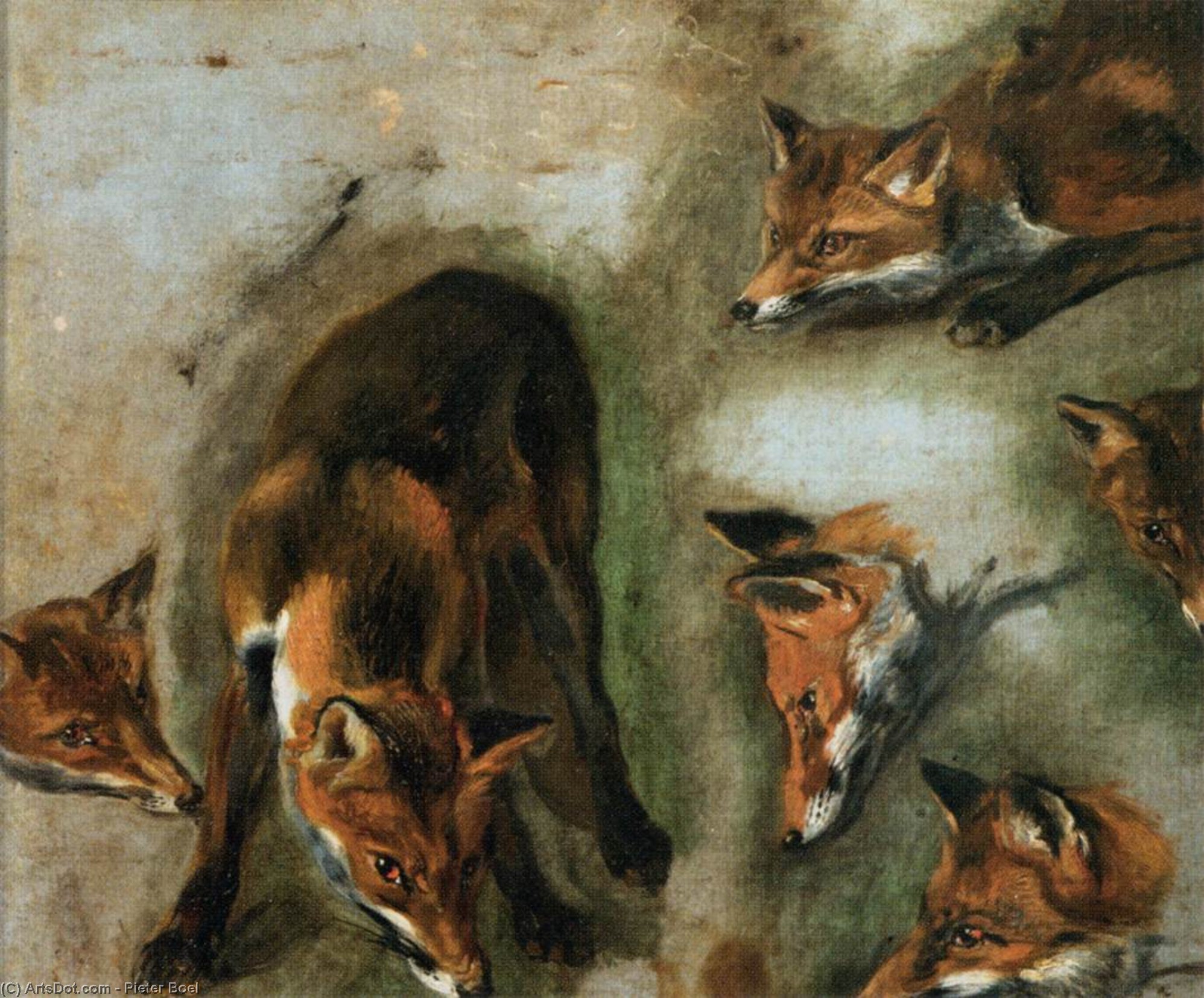 Wikioo.org - The Encyclopedia of Fine Arts - Painting, Artwork by Boel Pieter (Boule) - Studies of a Fox