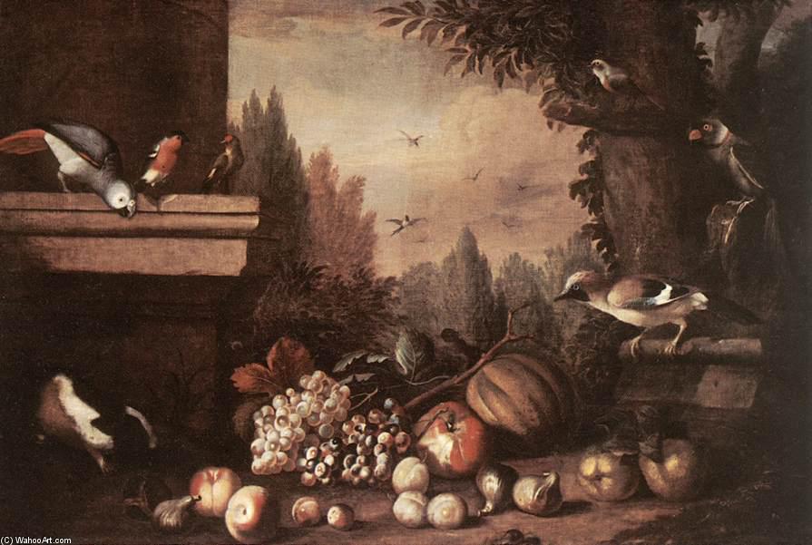 Wikioo.org - The Encyclopedia of Fine Arts - Painting, Artwork by Jakob Bogdany - Fruit with Birds and Guinea-pig