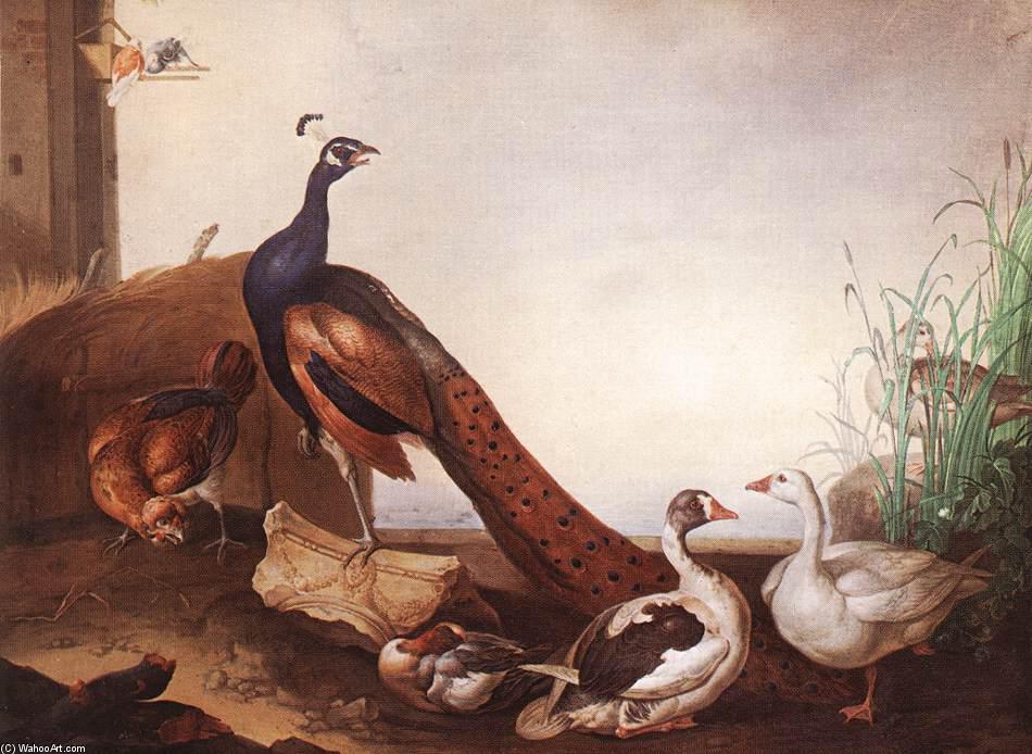 Wikioo.org – L'Encyclopédie des Beaux Arts - Peinture, Oeuvre de Jakob Bogdany - Peacock avec oies et Hen