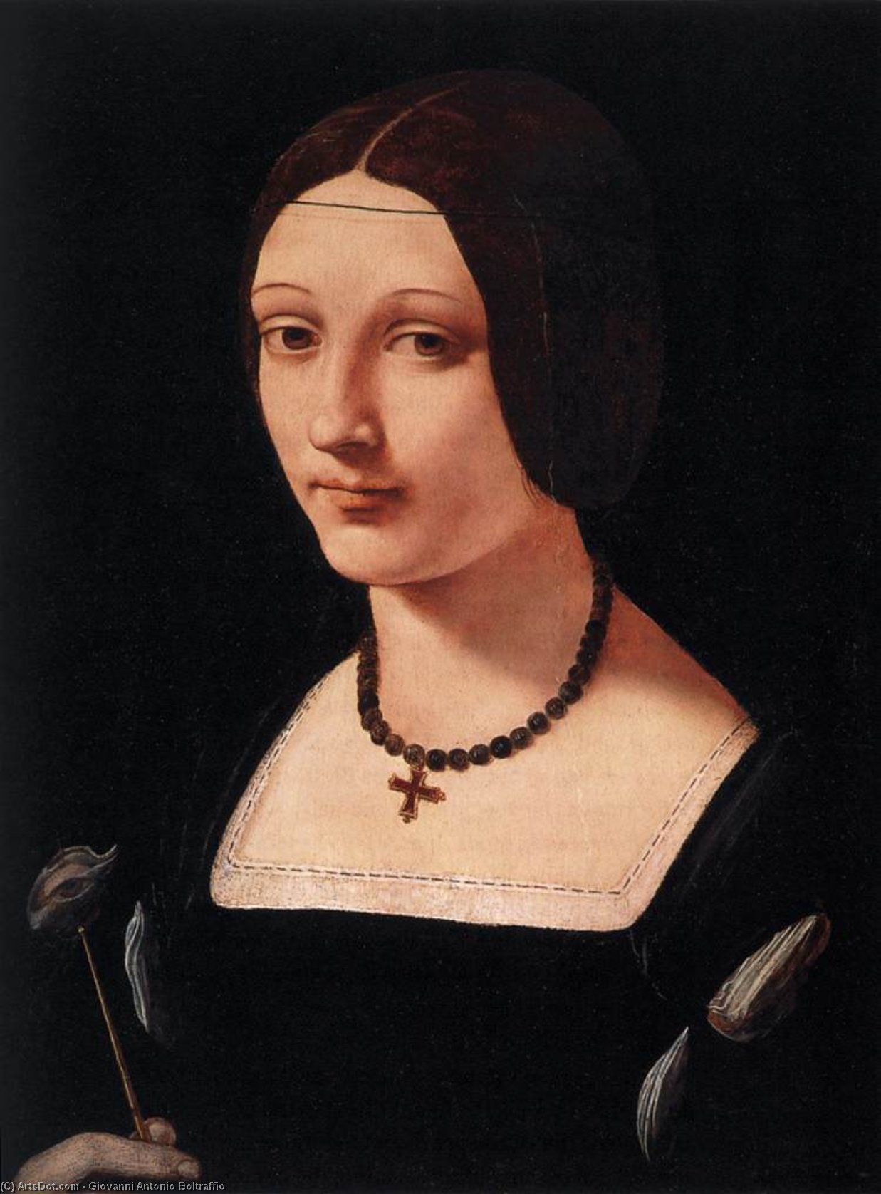 Wikioo.org – L'Enciclopedia delle Belle Arti - Pittura, Opere di Giovanni Antonio Boltraffio - ritratto di una signora come st Lucy