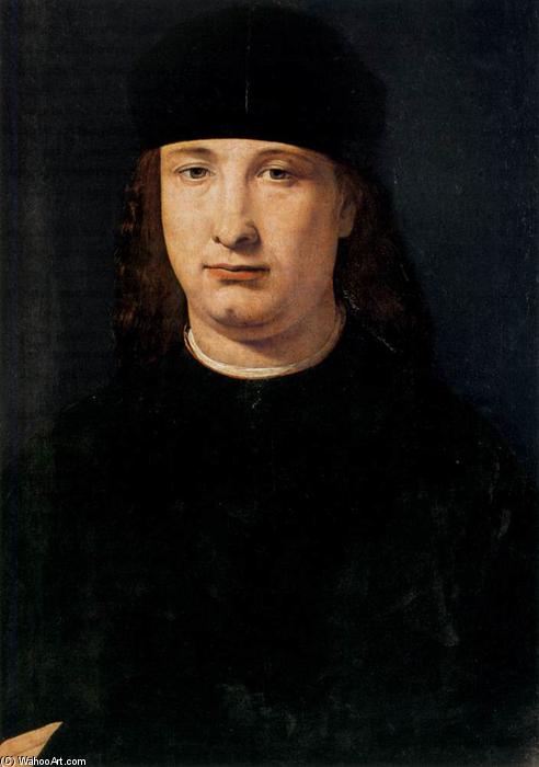 Wikioo.org - The Encyclopedia of Fine Arts - Painting, Artwork by Giovanni Antonio Boltraffio - Portrait of a Notable
