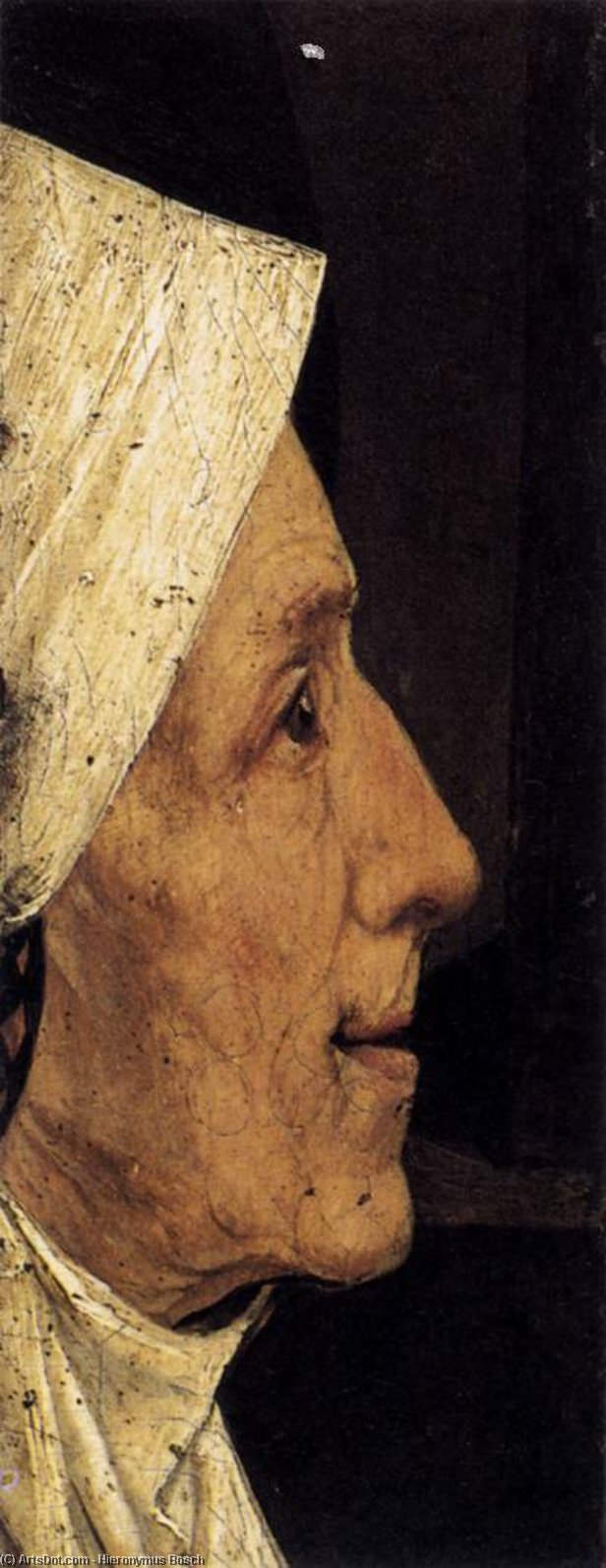 Wikioo.org - The Encyclopedia of Fine Arts - Painting, Artwork by Hieronymus Bosch - Head of a Woman (fragment)