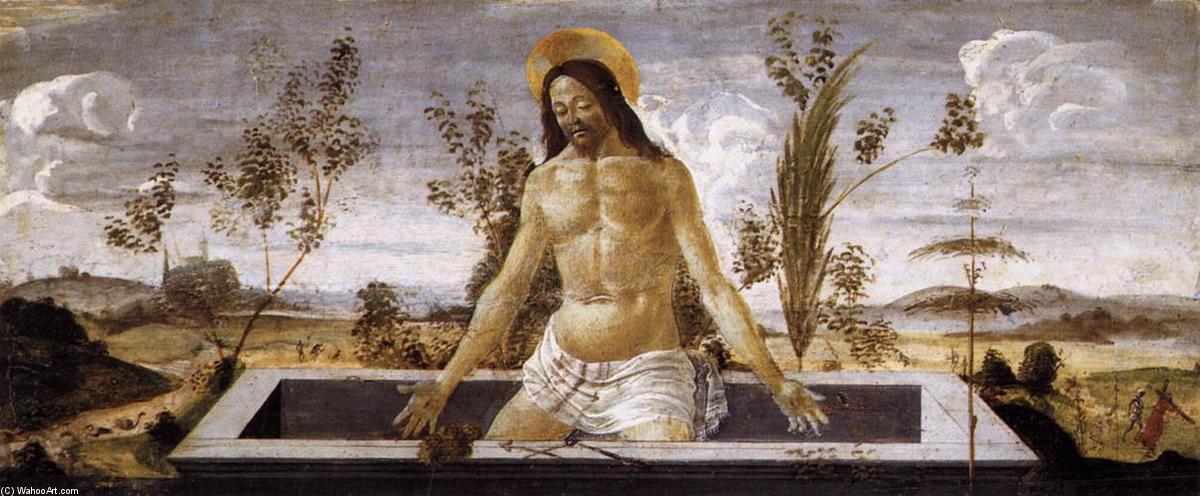 Wikioo.org - The Encyclopedia of Fine Arts - Painting, Artwork by Sandro Botticelli - Christ in the Sepulchre