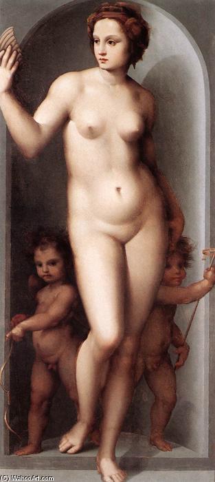 Wikioo.org – La Enciclopedia de las Bellas Artes - Pintura, Obras de arte de Andrea Del Brescianino - Venus y dos Cupidos