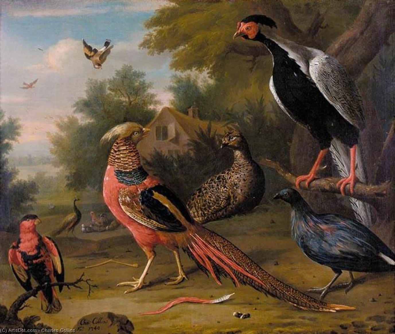 Wikioo.org – La Enciclopedia de las Bellas Artes - Pintura, Obras de arte de Charles Collins - EXÓTICO Faisanes  asícomo  otro  pájaros