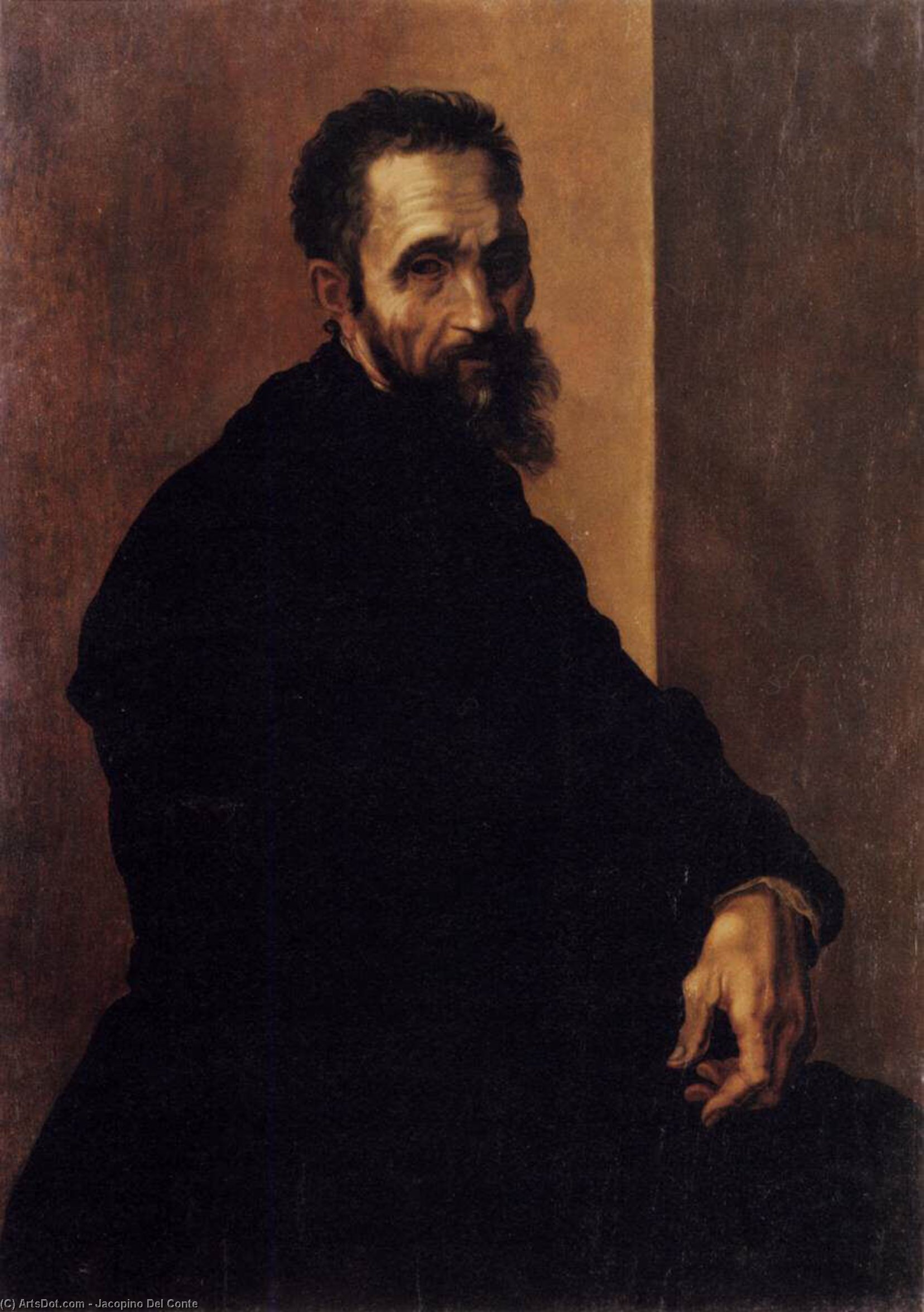 Wikioo.org - The Encyclopedia of Fine Arts - Painting, Artwork by Jacopino Del Conte - Portrait of Michelangelo