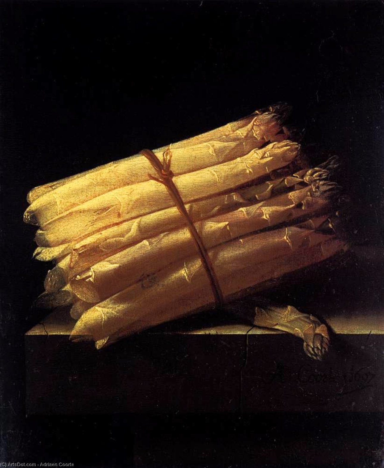Wikioo.org – L'Enciclopedia delle Belle Arti - Pittura, Opere di Adriaen Coorte - vita tranquilla con  asparago