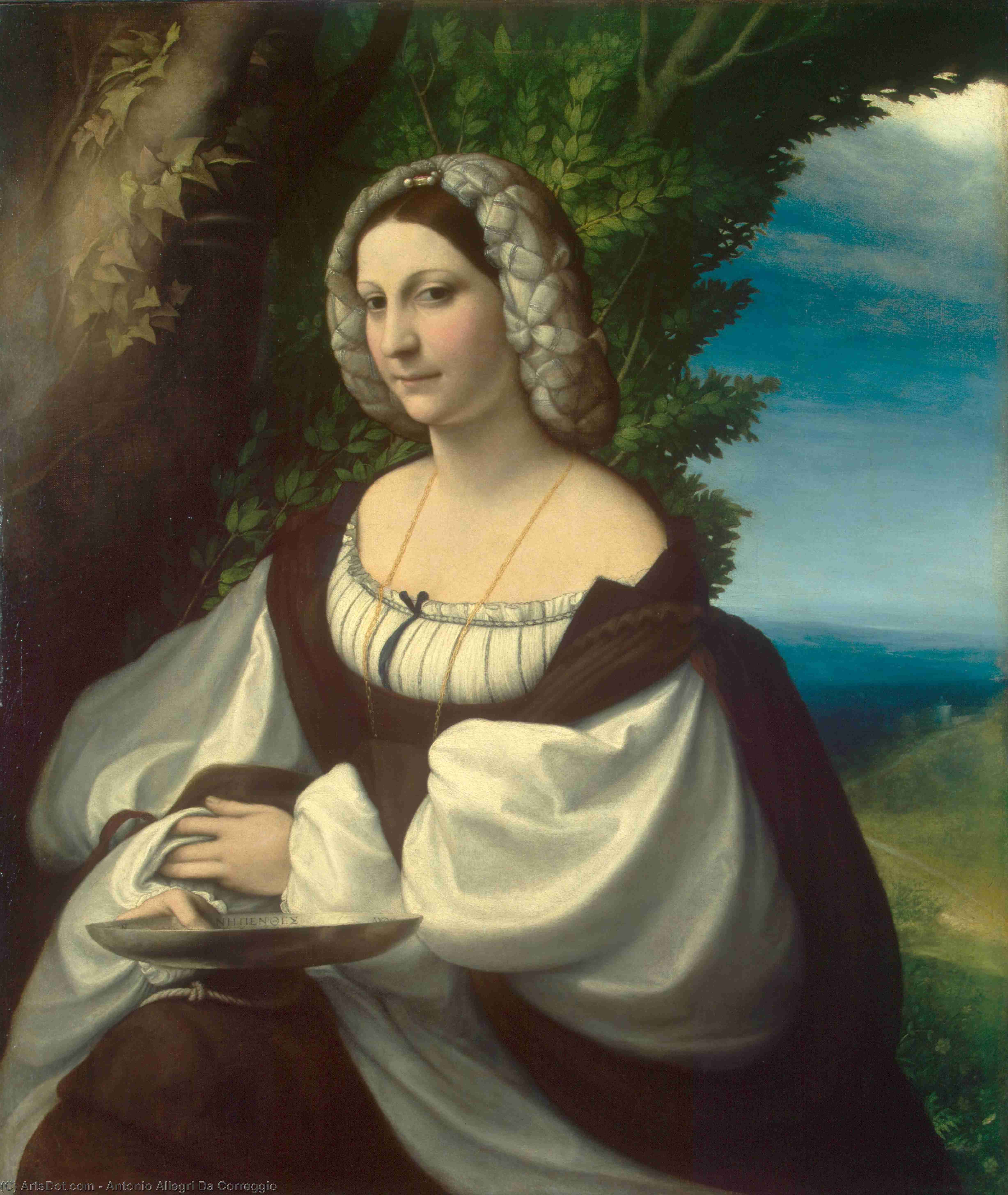 Wikioo.org - The Encyclopedia of Fine Arts - Painting, Artwork by Antonio Allegri Da Correggio - Portrait of a Gentlewoman