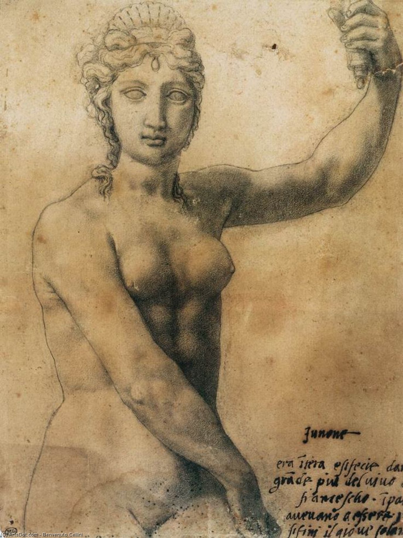Wikioo.org - The Encyclopedia of Fine Arts - Painting, Artwork by Benvenuto Cellini - Juno