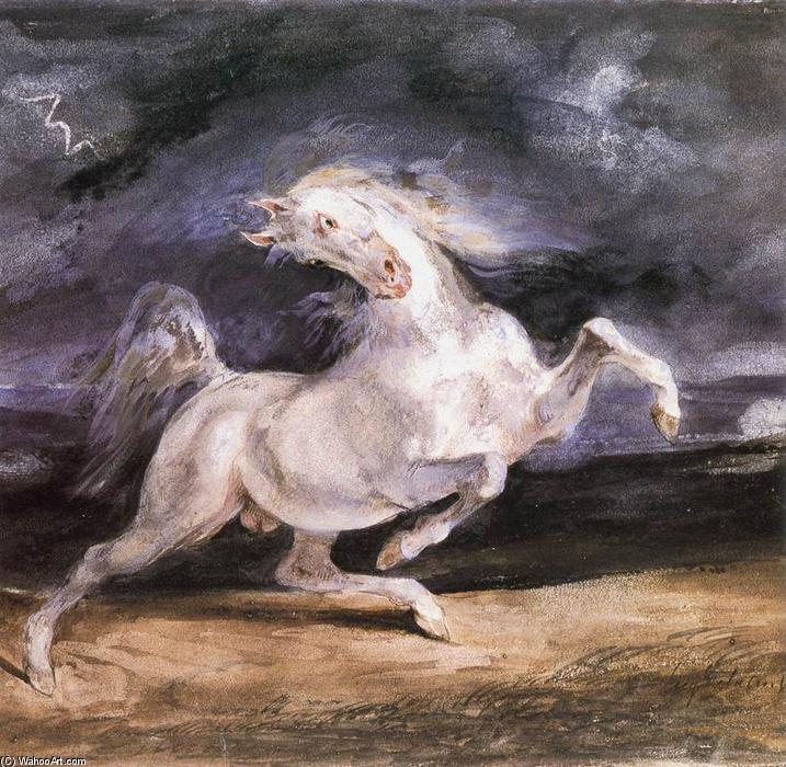 WikiOO.org - Энциклопедия изобразительного искусства - Живопись, Картины  Eugène Delacroix - конь Испуганный  около     шторм