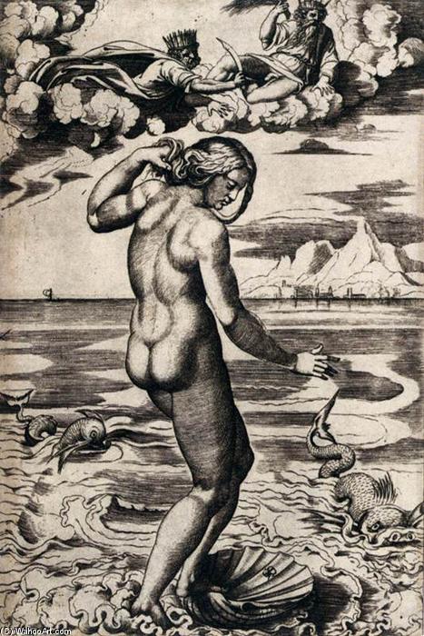 Wikoo.org - موسوعة الفنون الجميلة - اللوحة، العمل الفني Marco Dente Da Ravenna - Birth of Venus