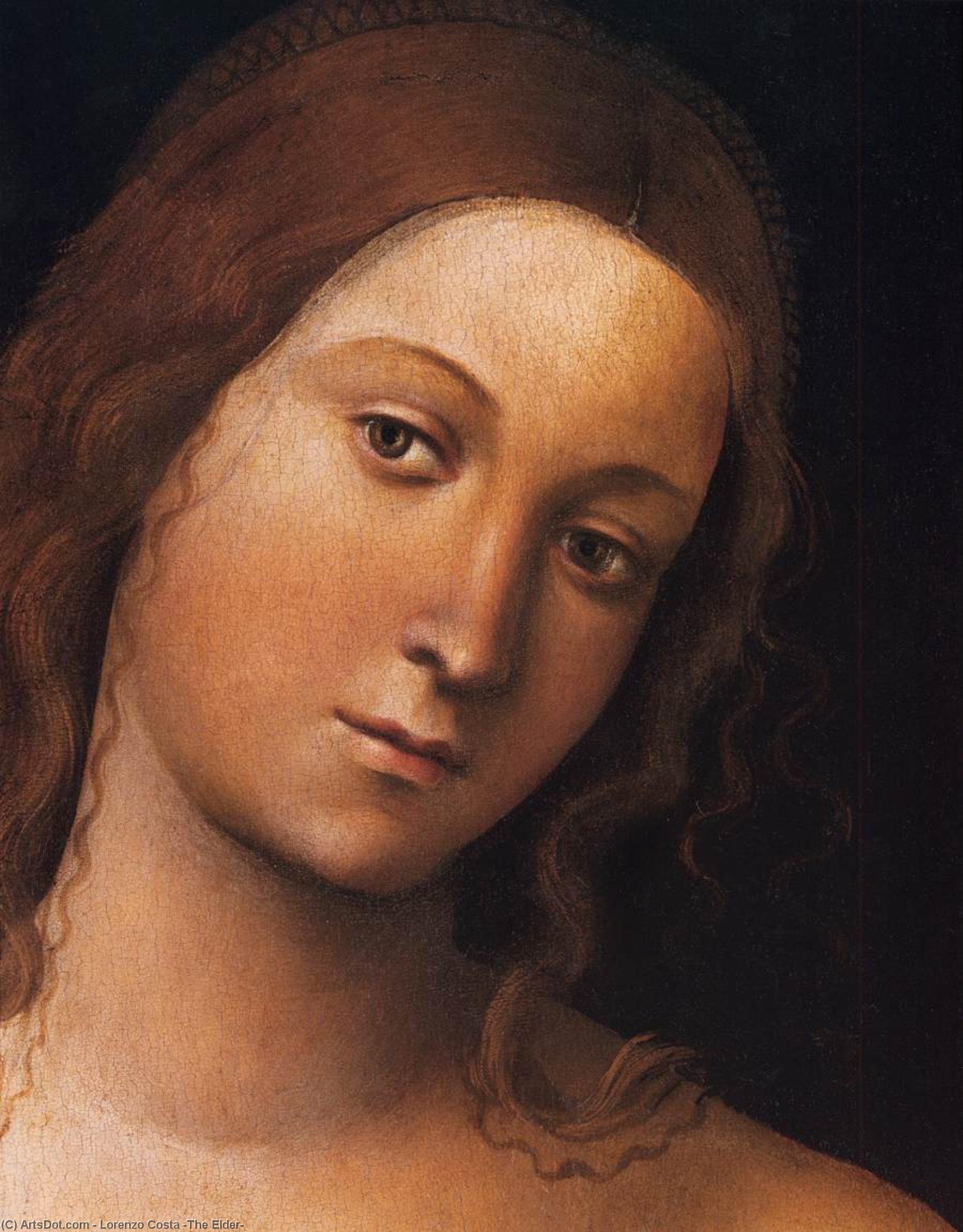 Wikioo.org – L'Encyclopédie des Beaux Arts - Peinture, Oeuvre de Lorenzo Costa (The Elder) - Vénus détail