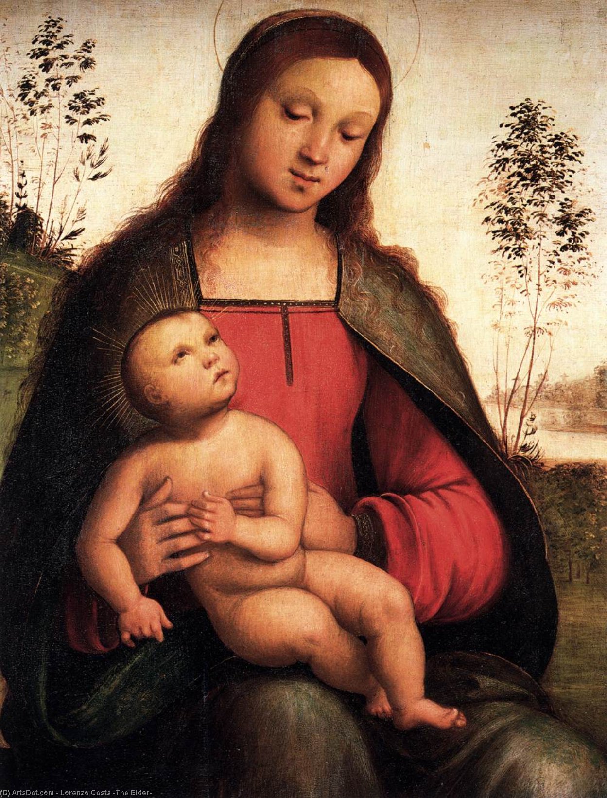 Wikioo.org – La Enciclopedia de las Bellas Artes - Pintura, Obras de arte de Lorenzo Costa (The Elder) - virgen y el niño