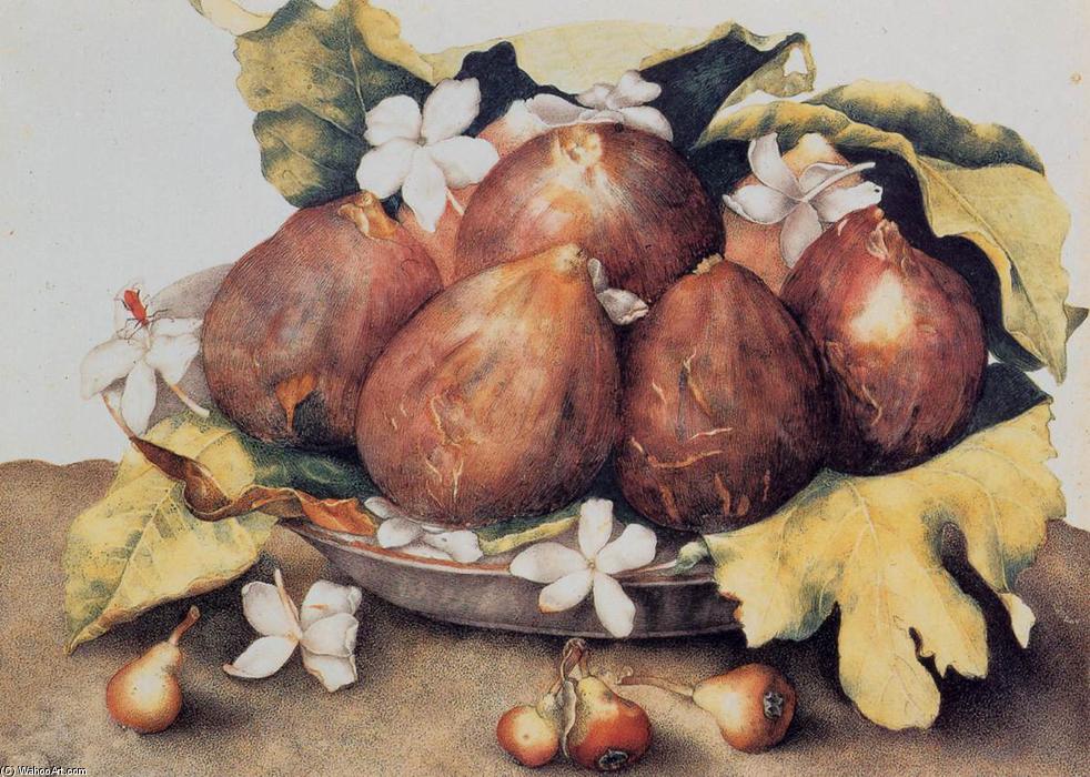 Wikioo.org - The Encyclopedia of Fine Arts - Painting, Artwork by Giovanna Garzoni - Figs