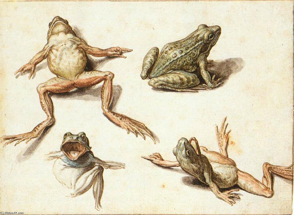 Wikioo.org - Die Enzyklopädie bildender Kunst - Malerei, Kunstwerk von Jacob (Jacques)De Gheyn Ii - Vier Studies von Frogs