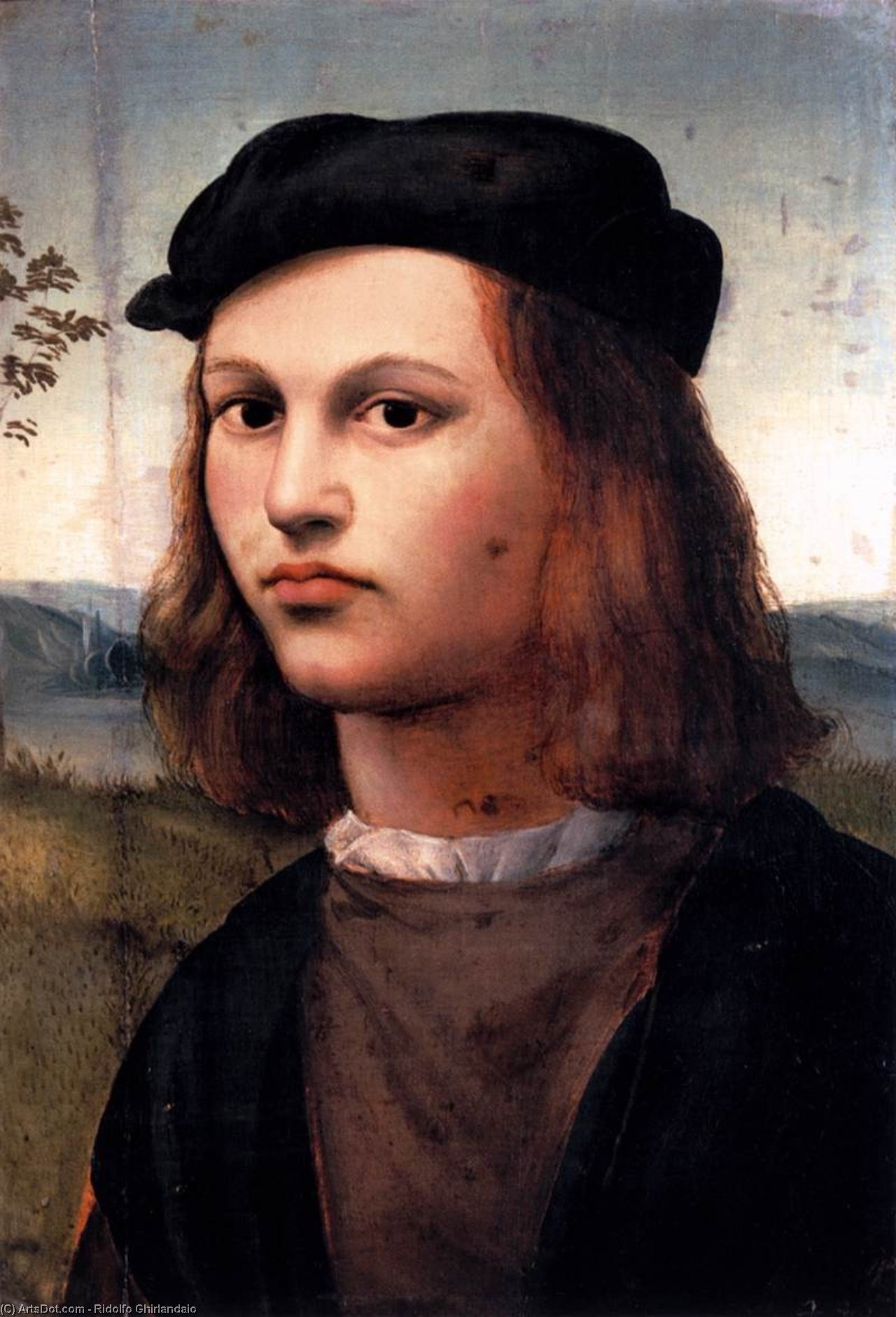 Wikioo.org - The Encyclopedia of Fine Arts - Painting, Artwork by Michele Di Ridolfo Del Ghirlandaio (Michele Tosini) - Portrait of a Young Man