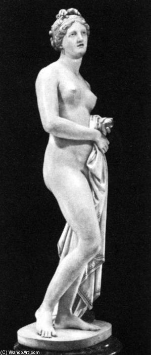 Wikioo.org – La Enciclopedia de las Bellas Artes - Pintura, Obras de arte de John David Gibson - El Tinted Venus