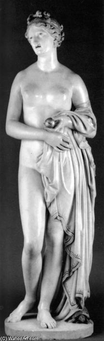 WikiOO.org - Енциклопедія образотворчого мистецтва - Живопис, Картини
 John David Gibson - The 'Tinted Venus'